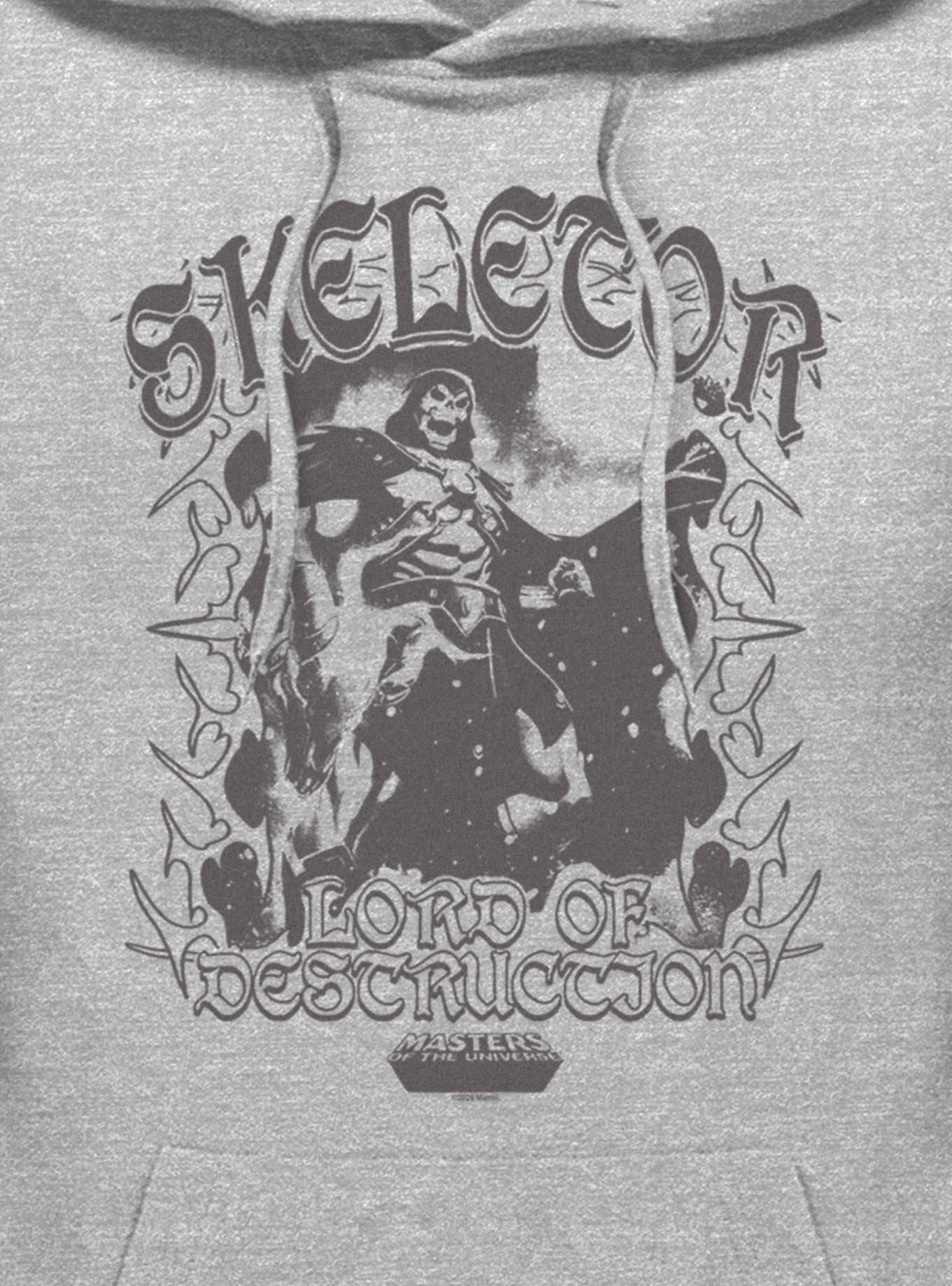 Masters Of The Universe Skeletor Lord Of Destruction Hoodie, , hi-res