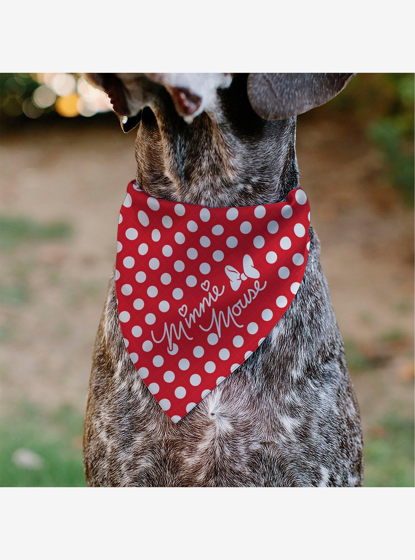 Disney Minnie Mouse Autograph Script Polka Dot Red White Slip On Collar Pet Bandana - Bandana Only, , alternate