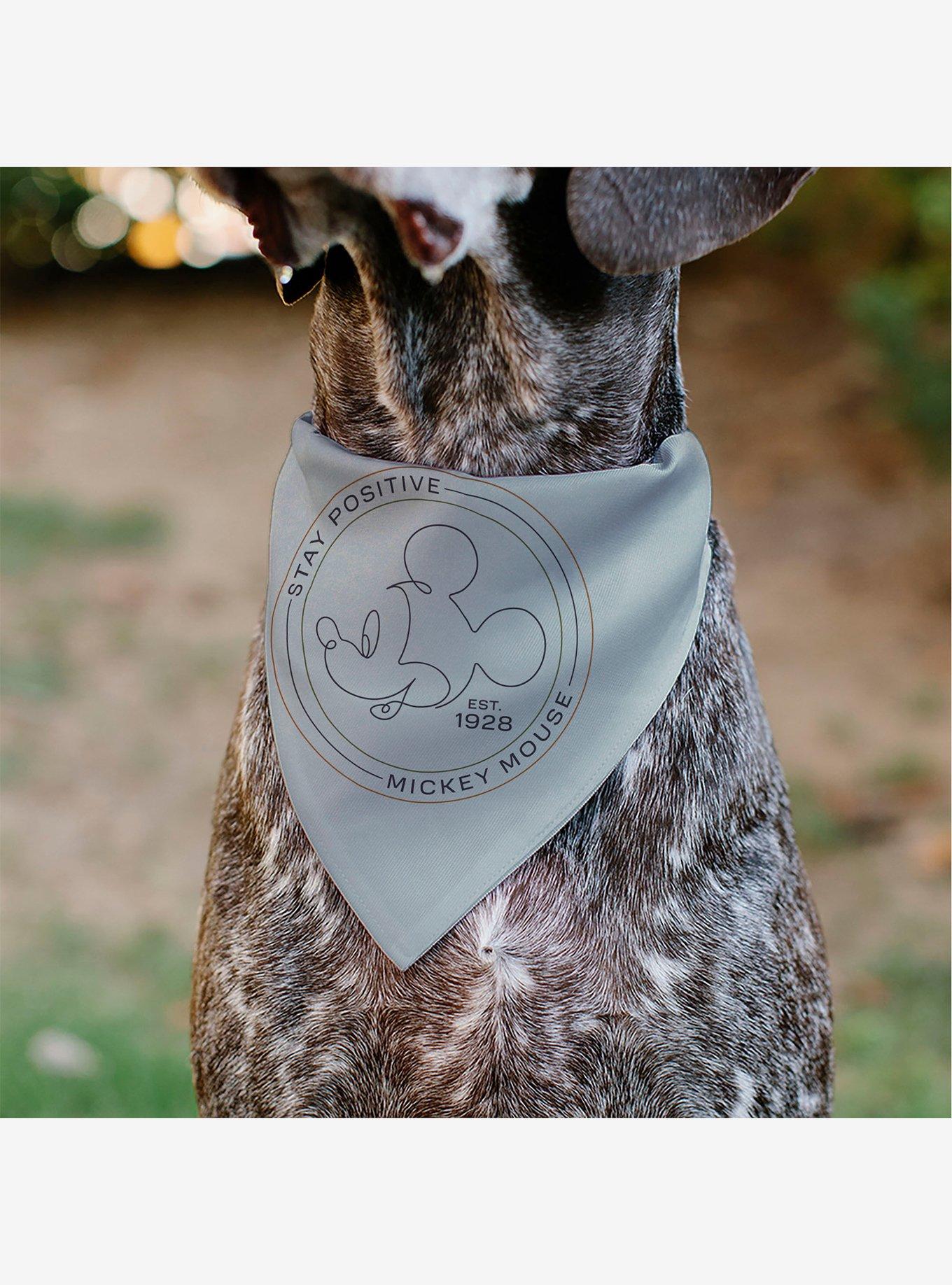 Disney Mickey Mouse Stay Positive Line Slip On Collar Pet Bandana - Bandana Only, , alternate