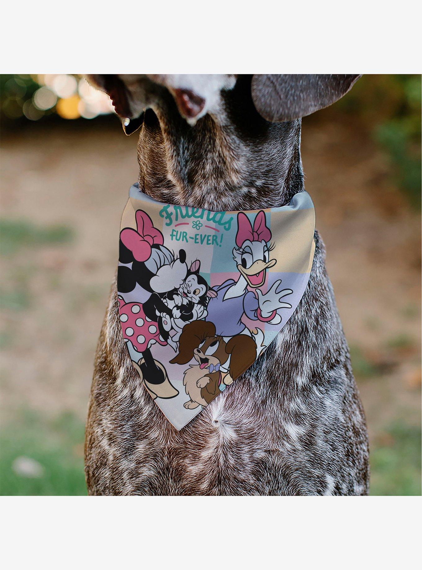 Disney Minnie Mouse Daisy Duck Friends Fur Ever Slip On Collar Pet Bandana - Bandana Only, , alternate
