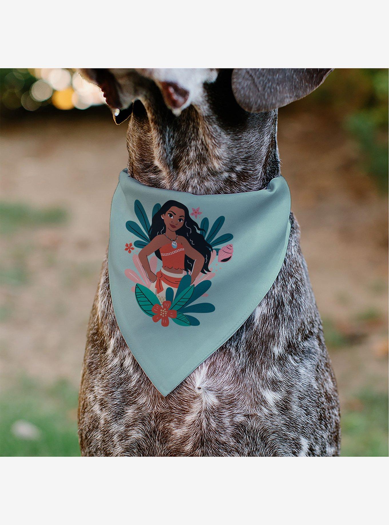 Disney Moana Standing Pose Plants Slip On Collar Pet Bandana - Bandana Only, , alternate - view 4