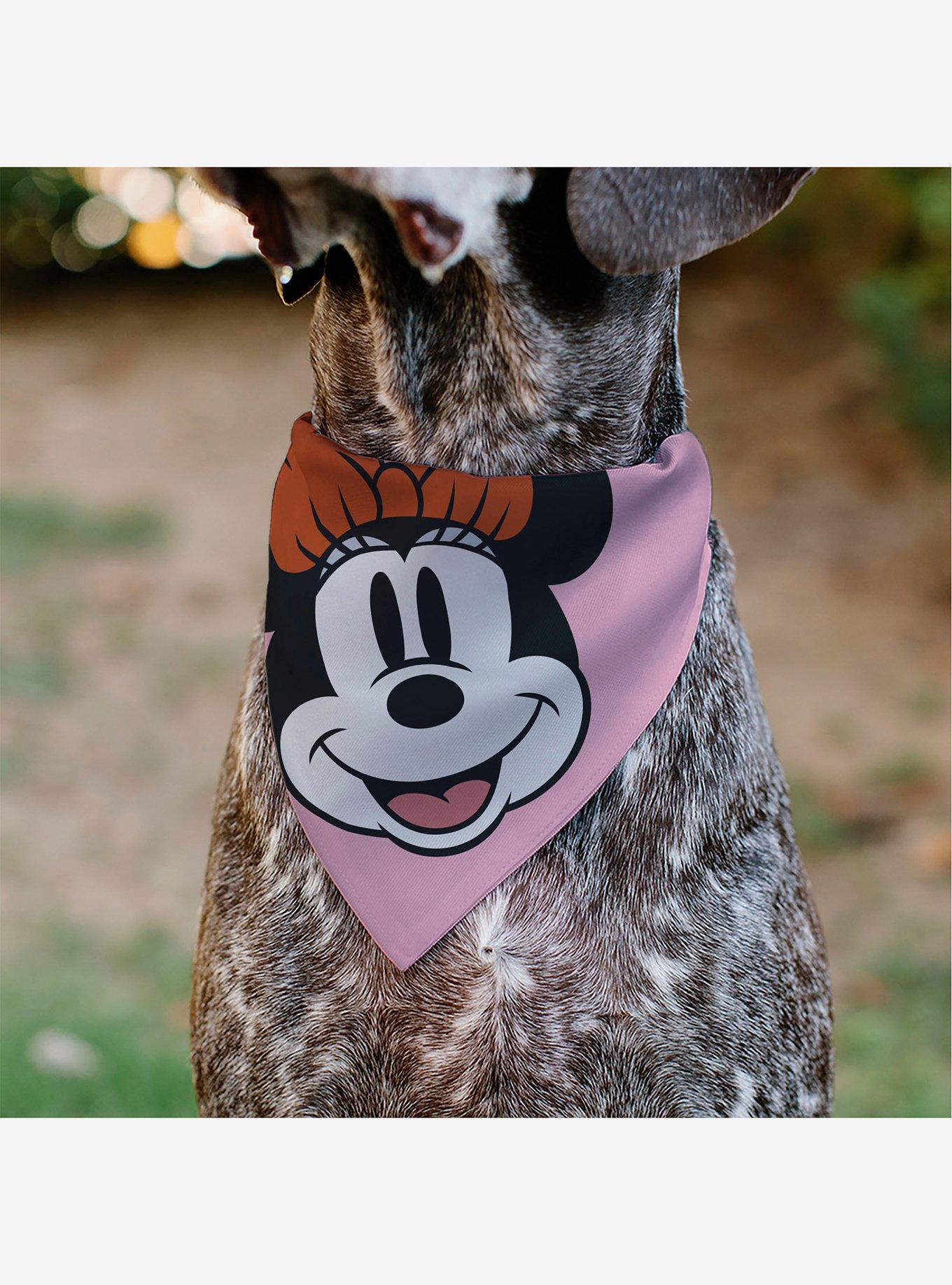 Disney Minnie Mouse Smiling Face Close Up Slip On Collar Pet Bandana - Bandana Only, , alternate