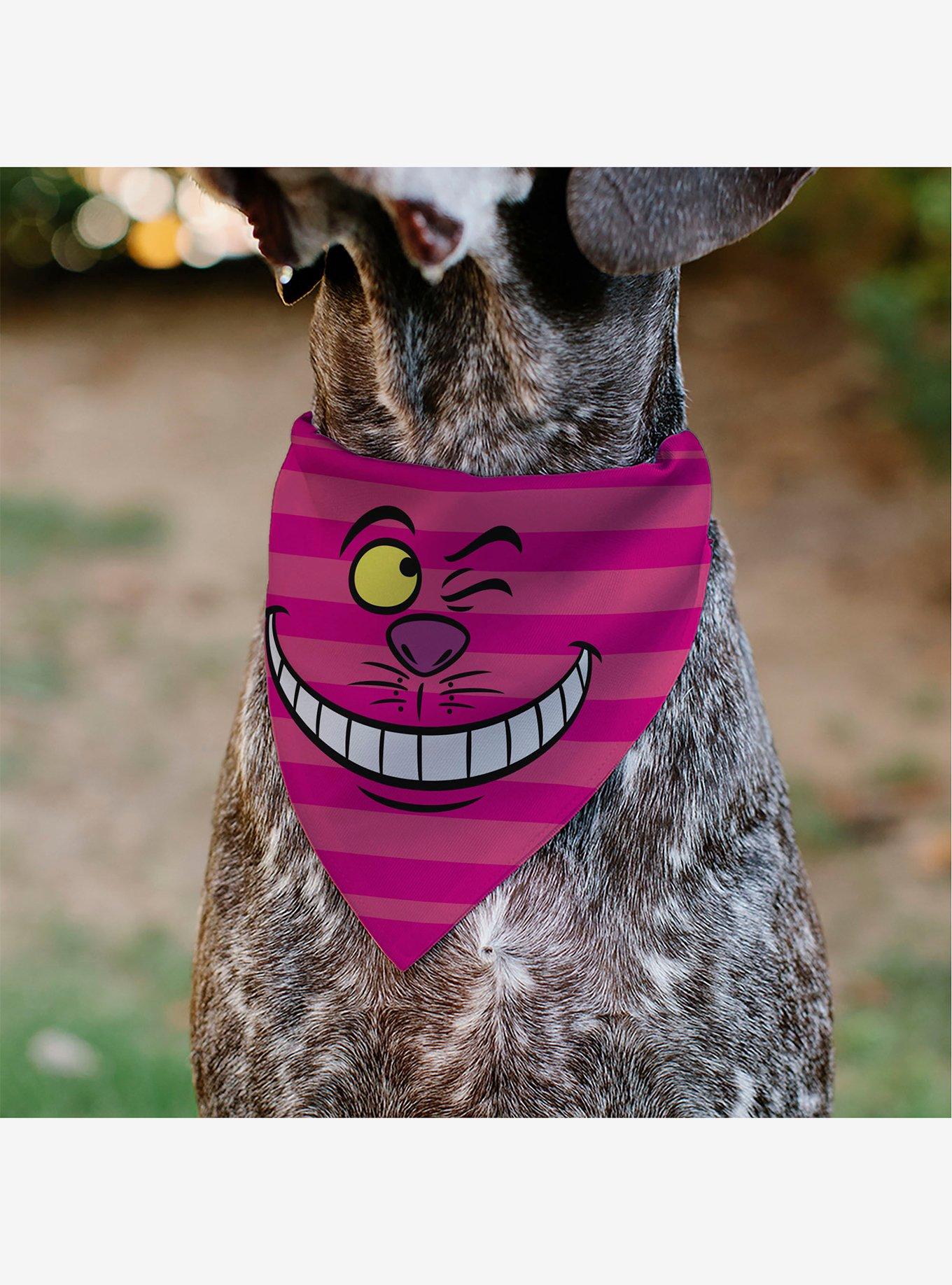 Disney Alice in Wonderland Cheshire Cat Winking Smile Slip On Collar Pet Bandana - Bandana Only, , alternate