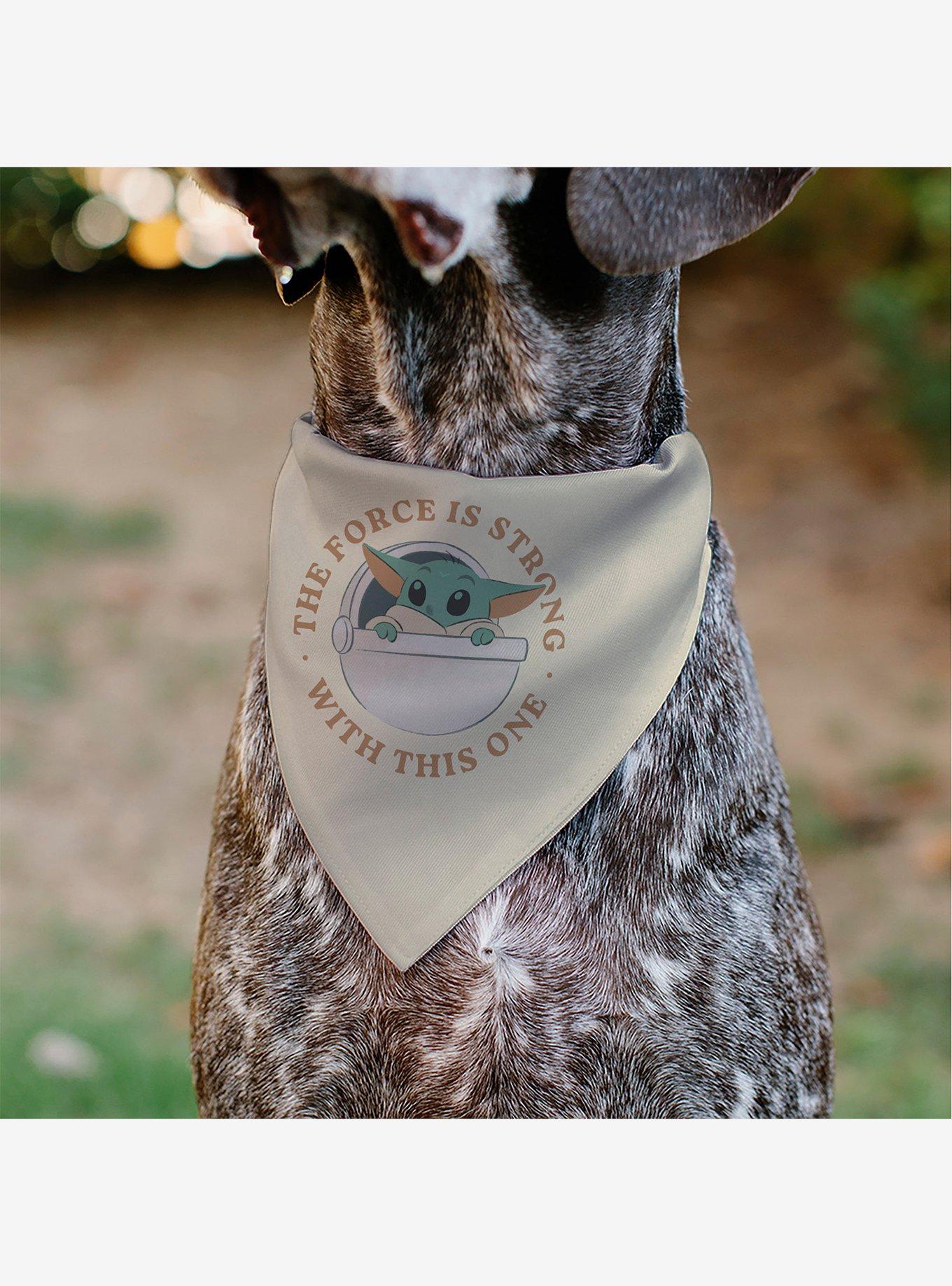 Star Wars The Mandalorian the Force is Strong Grogu Pod Pose Slip On Collar Pet Bandana - Bandana Only, , alternate