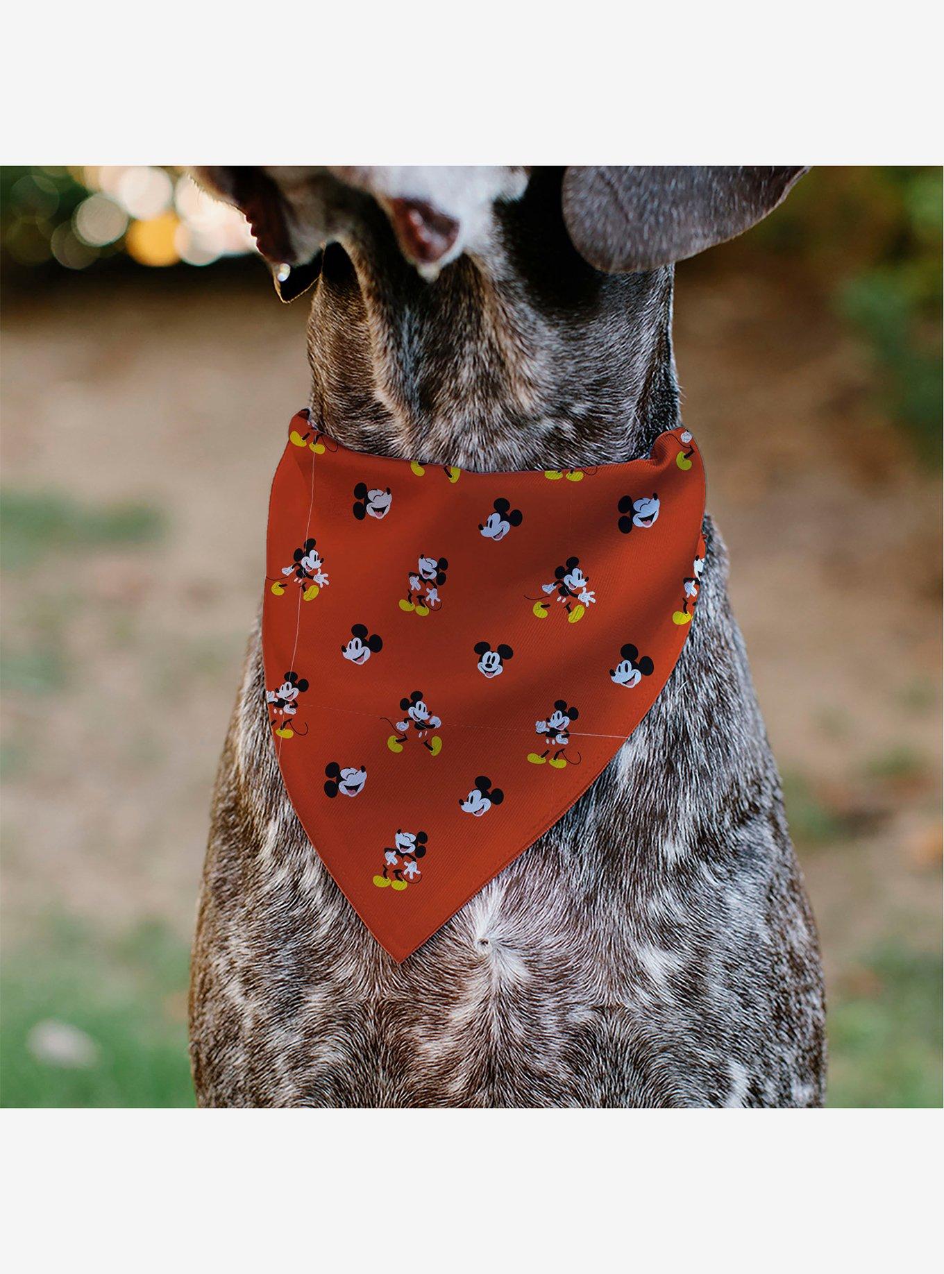 Disney Mickey Mouse Poses and Expressions Scattered Slip On Collar Pet Bandana - Bandana Only, , alternate