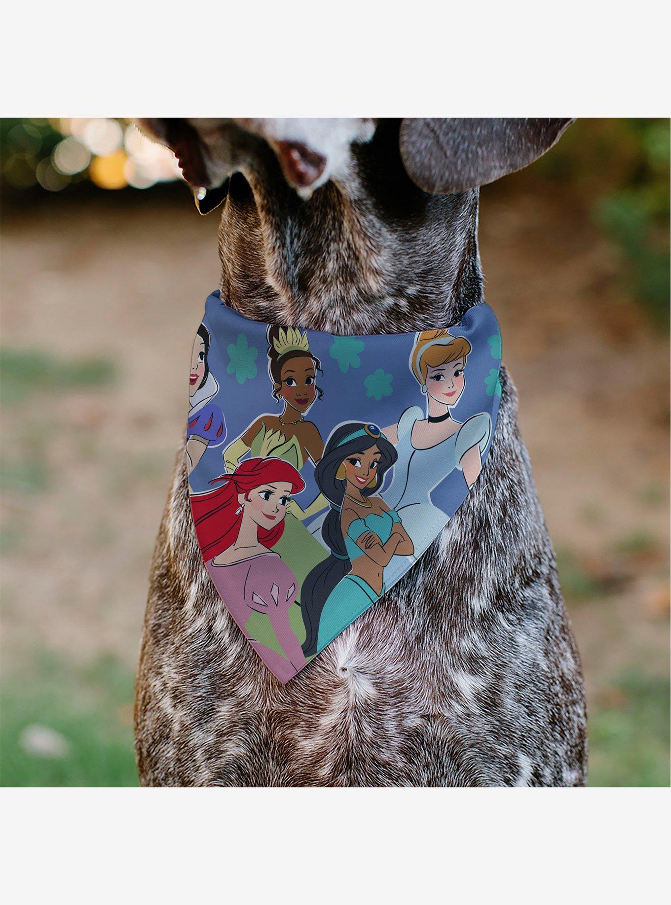 Disney Princesses Group Pose Flowers Slip On Collar Pet Bandana - Bandana Only, , alternate