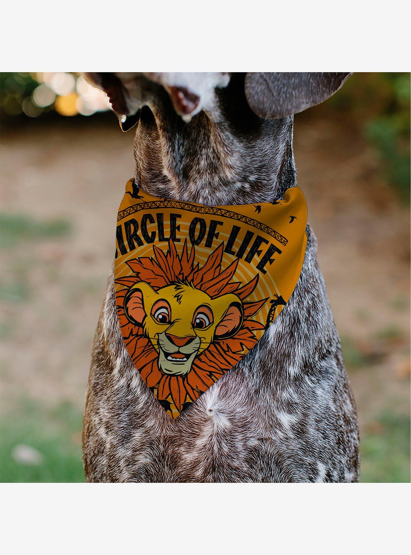 Disney The Lion King Young Simba Circle of Life Pose Slip On Collar Pet Bandana - Bandana Only, , alternate
