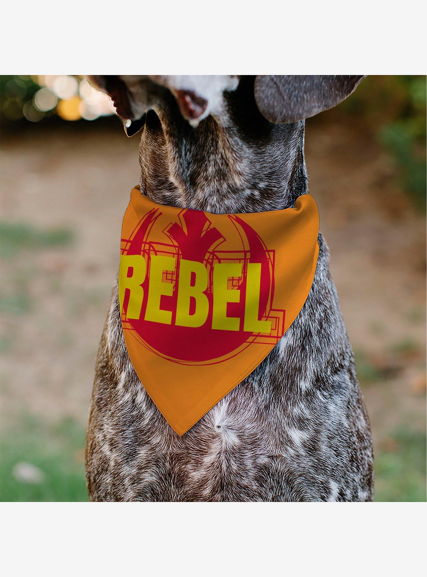 Star Wars Text and Rebel Alliance Insignia Slip On Collar Pet Bandana - Bandana Only, , alternate