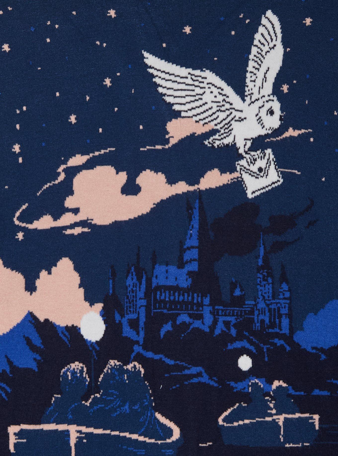 Harry Potter Hogwarts Scenic Women's Cardigan - BoxLunch Exclusive, MULTI, alternate - view 4