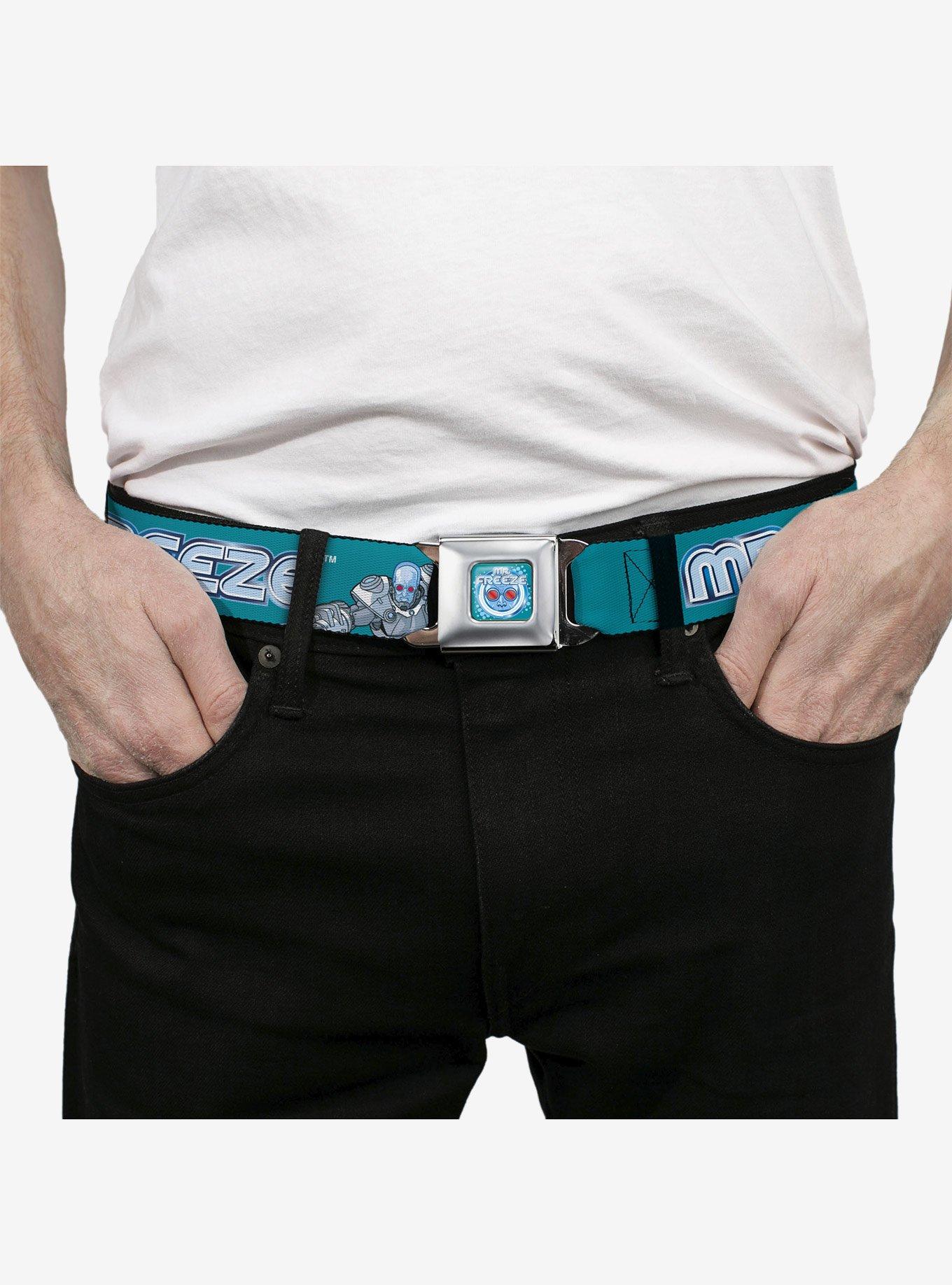 DC Comics Batman Villain Mr Freeze Poses and Title Logo Youth Seatbelt Buckle Belt, , alternate - view 3
