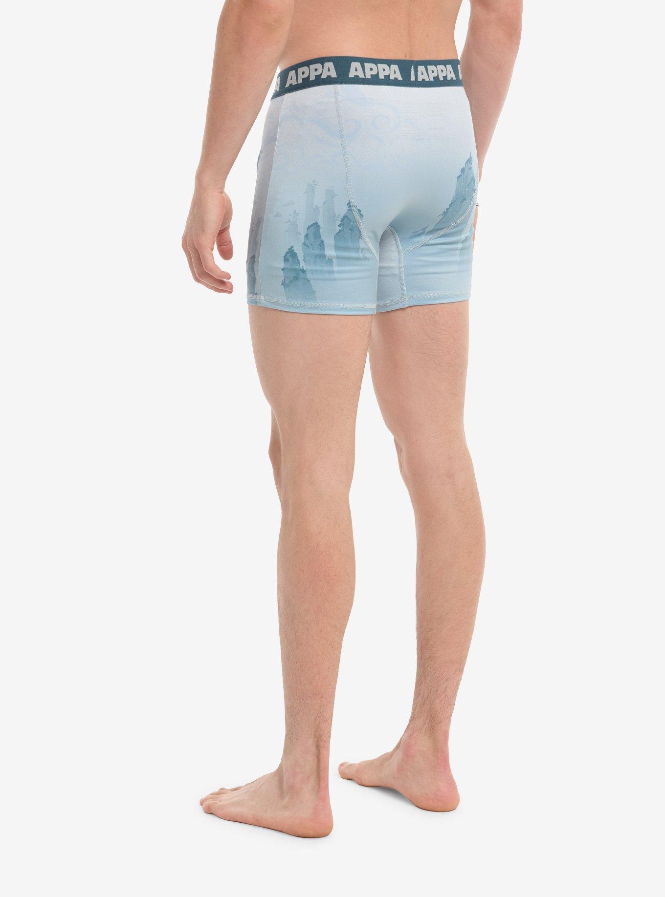 Avatar: The Last Airbender Appa Boxer Briefs, MULTI, alternate - view 2