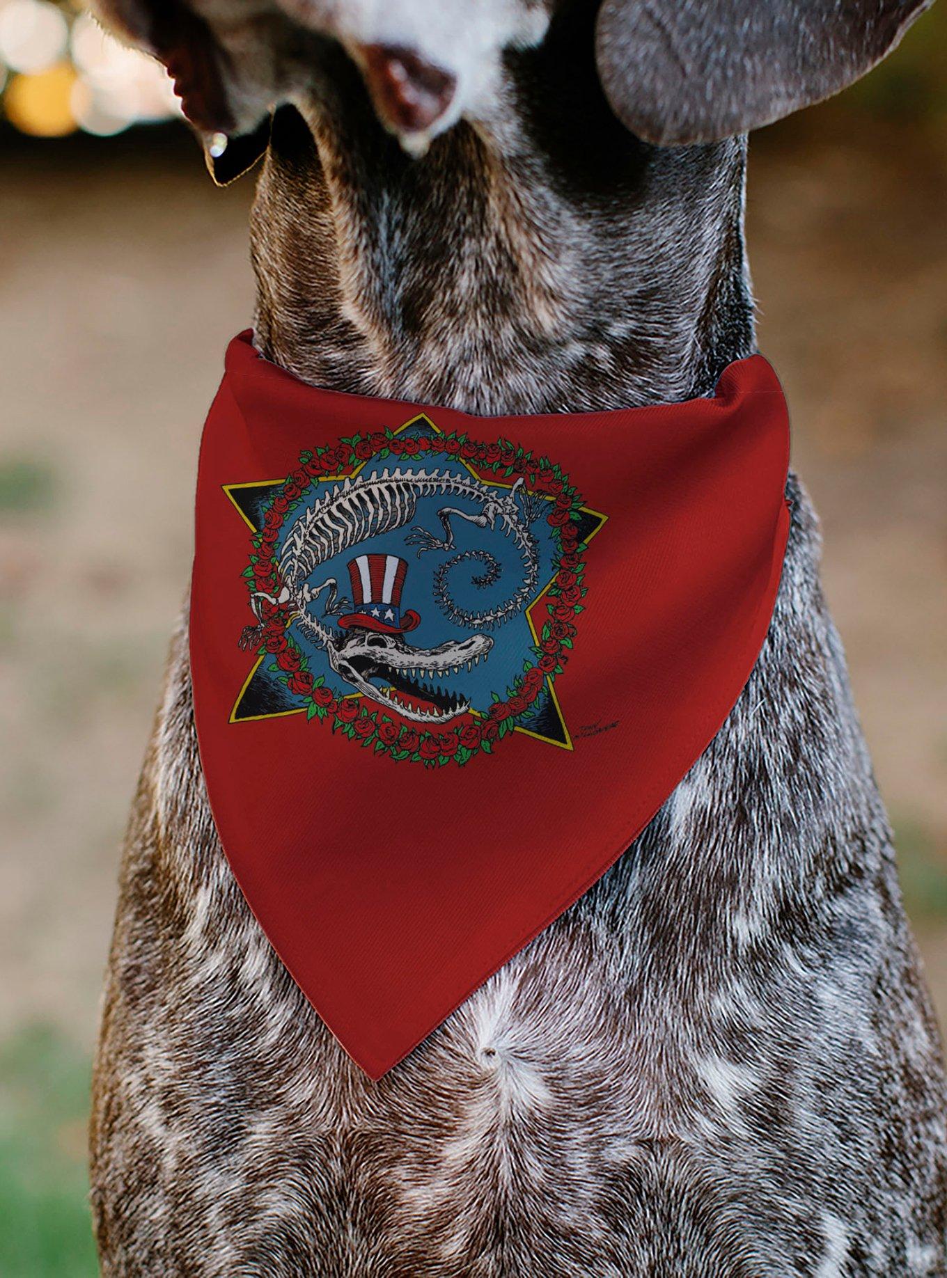 Grateful Dead Daves Picks Volume Ten Alligator Bonus Art Slip On Collar Pet Bandana - Bandana Only, , alternate