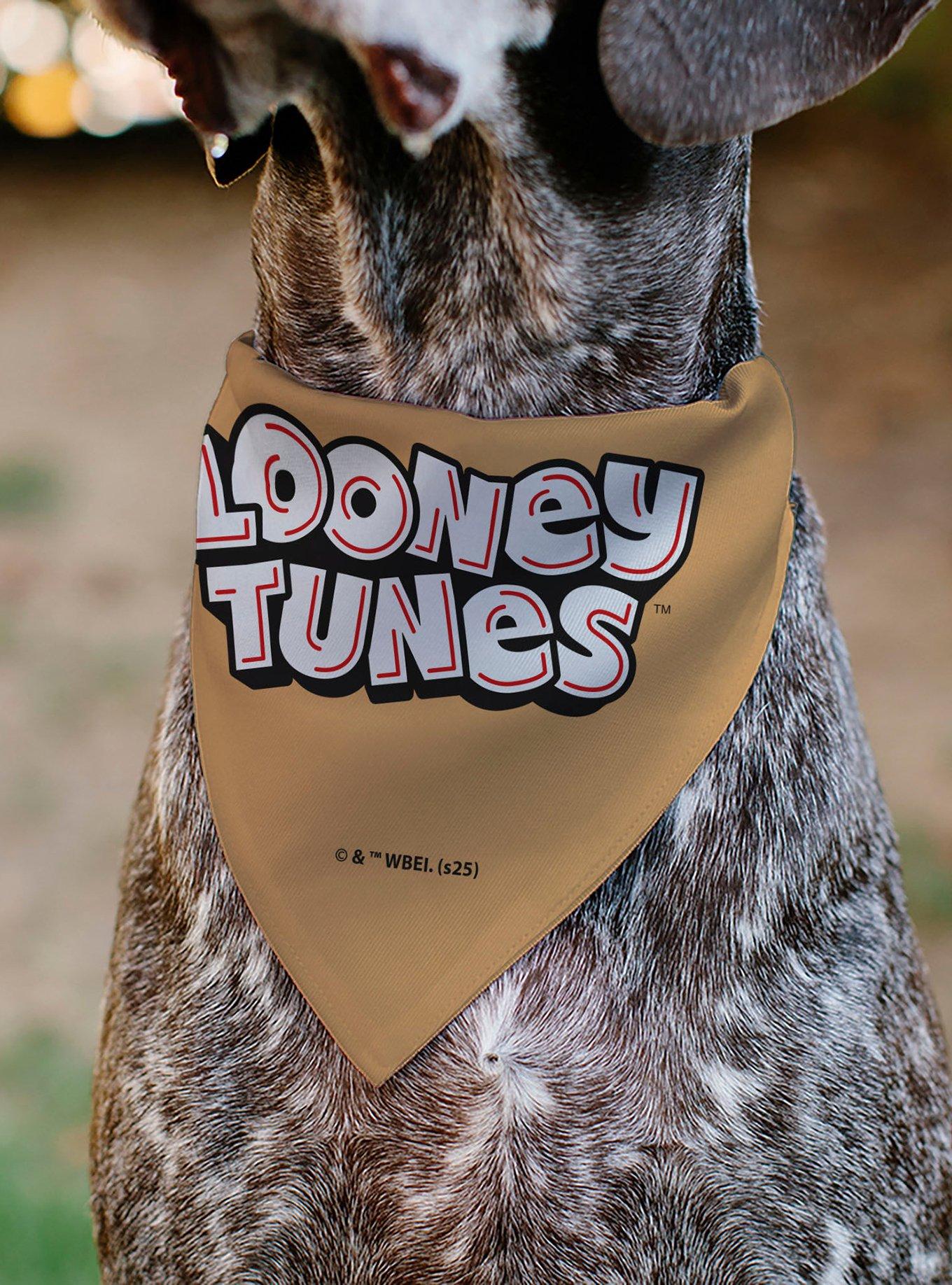 Looney Tunes Lola Bunny Face Close Up Slip On Collar Pet Bandana - Bandana Only, , alternate