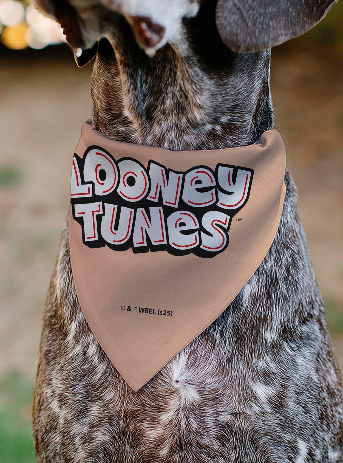 Looney Tunes Porky Pig Face Close Up Peach Slip On Collar Pet Bandana - Bandana Only, , alternate