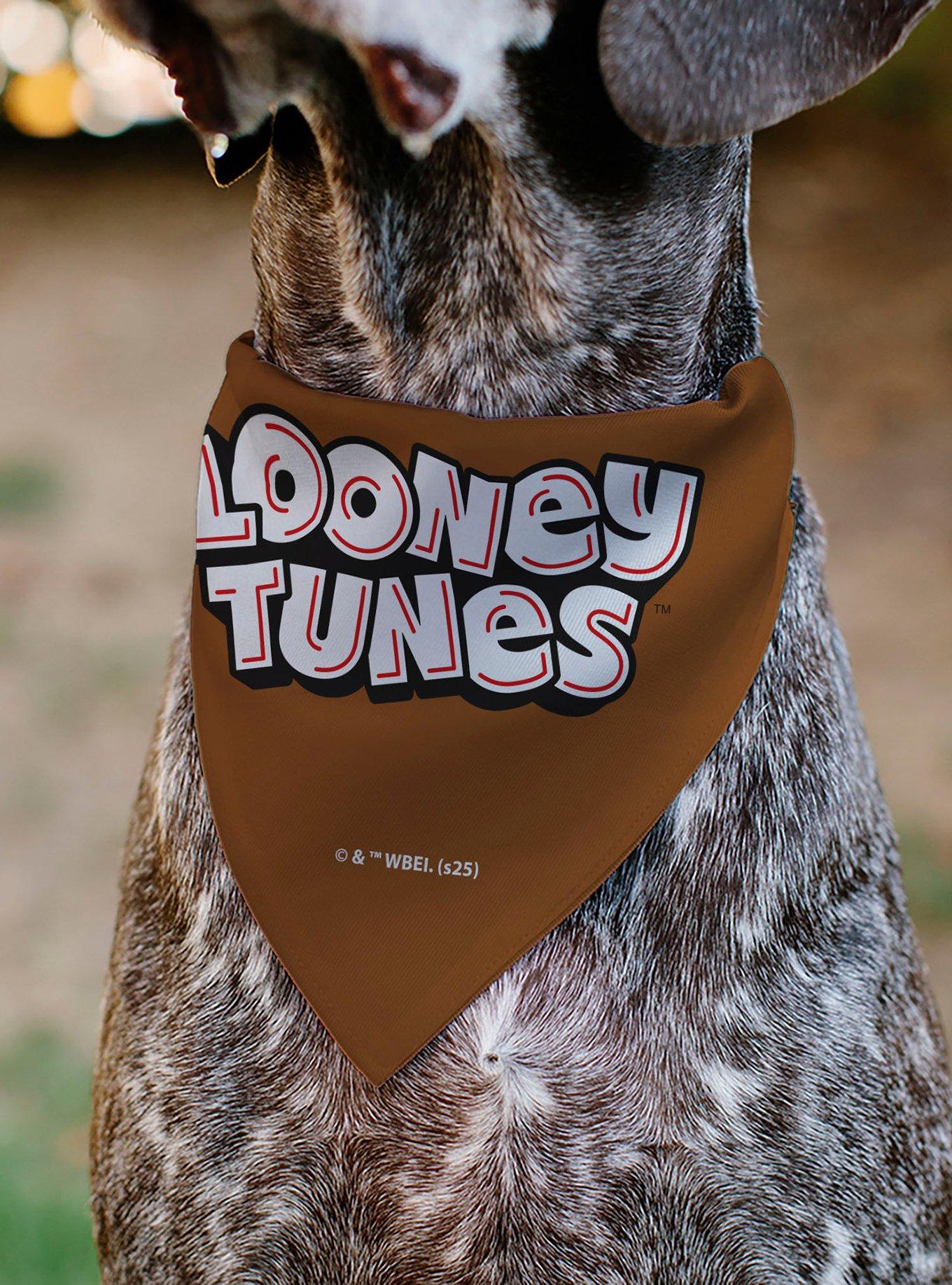 Looney Tunes Taz Tasmanian Devil Face Close Up Slip On Collar Pet Bandana - Bandana Only, , alternate