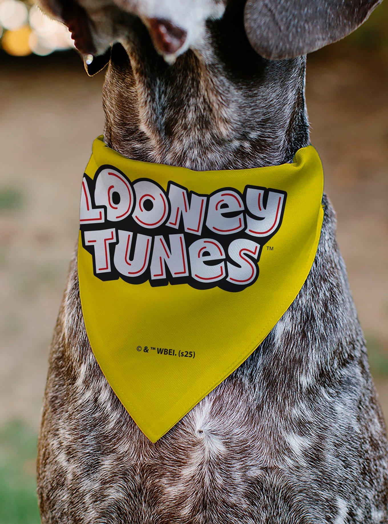 Looney Tunes Tweety Bird Face Close Up Slip On Collar Pet Bandana - Bandana Only, , alternate