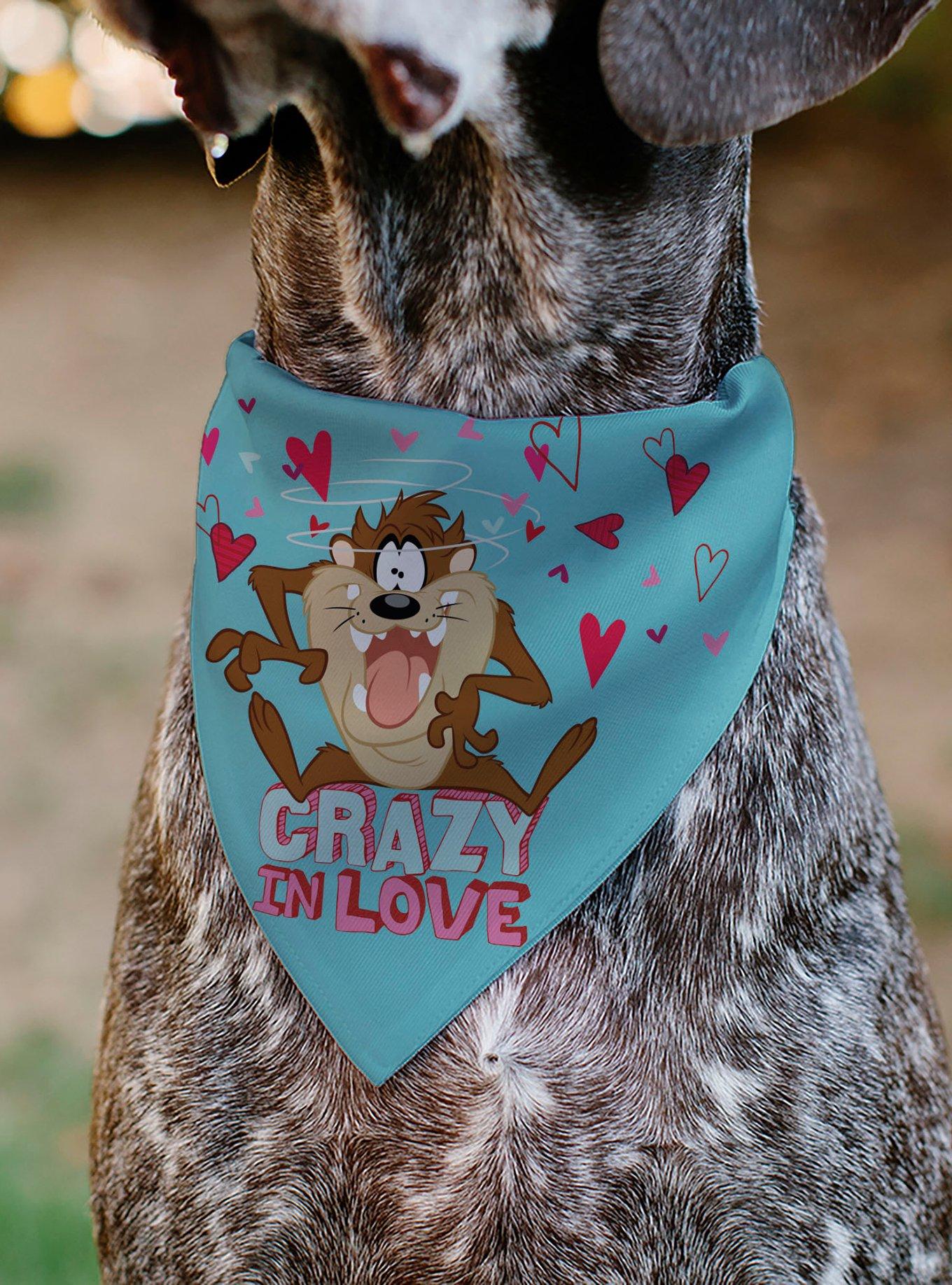 Looney Tunes Taz Tasmanian Devil Crazy In Love Heart Logo Slip On Collar Pet Bandana - Bandana Only, , alternate