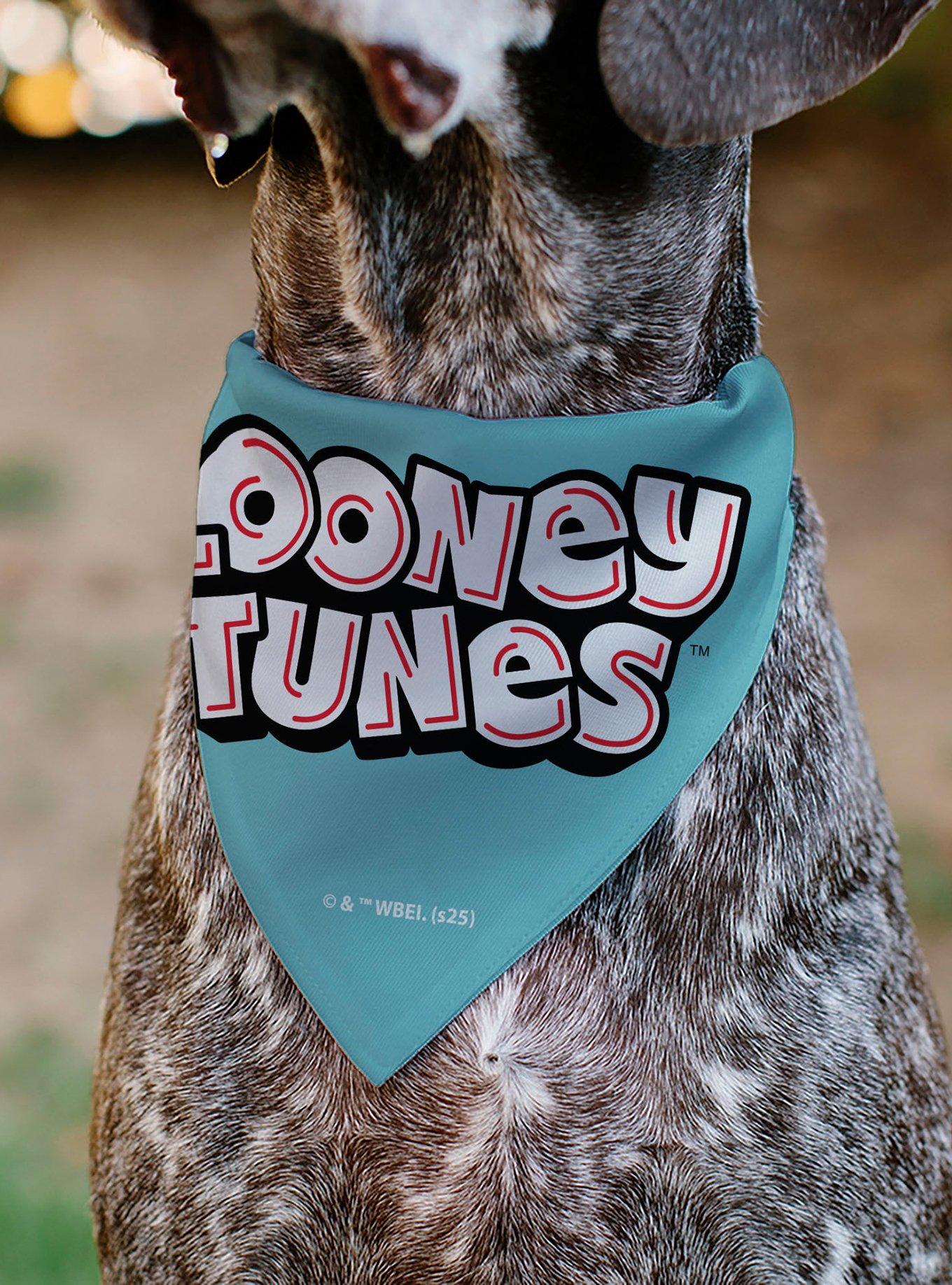 Looney Tunes Taz Tasmanian Devil Crazy In Love Heart Logo Slip On Collar Pet Bandana - Bandana Only, , alternate
