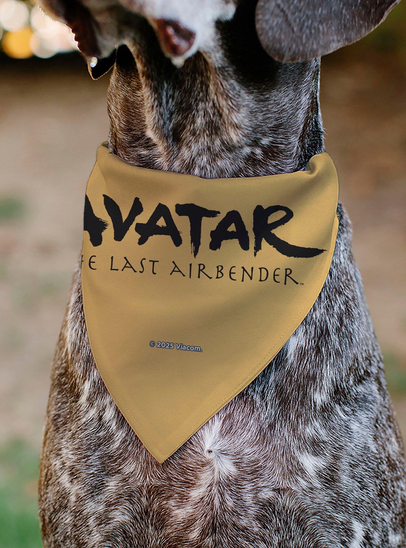 Avatar: The Last Airbender Action Pose Title Slip On Collar Pet Bandana - Bandana Only, , alternate