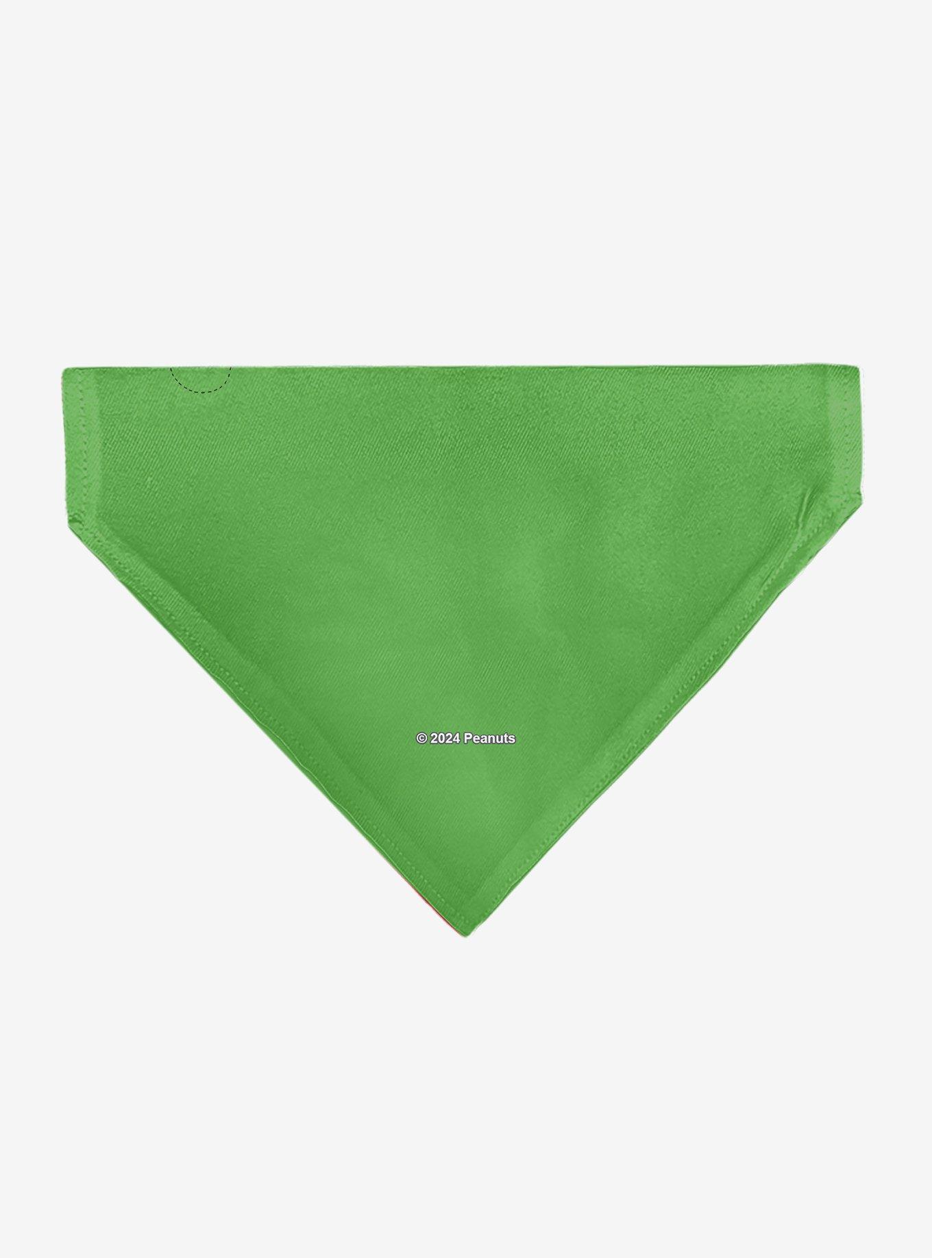 Peanuts Gang Group Pose Slip On Collar Pet Bandana - Bandana Only, , hi-res