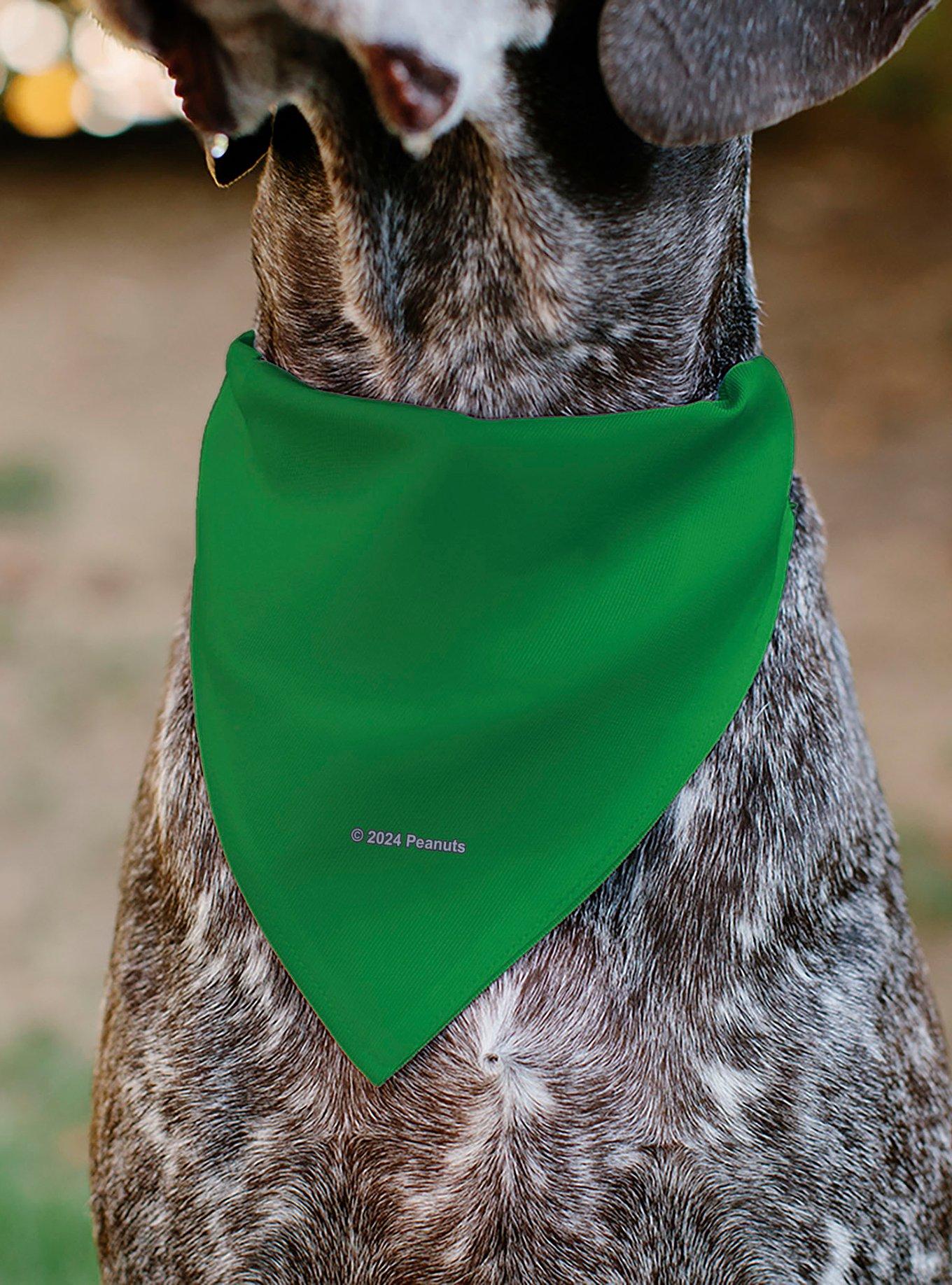 Peanuts Gang Group Pose Slip On Collar Pet Bandana - Bandana Only, , alternate