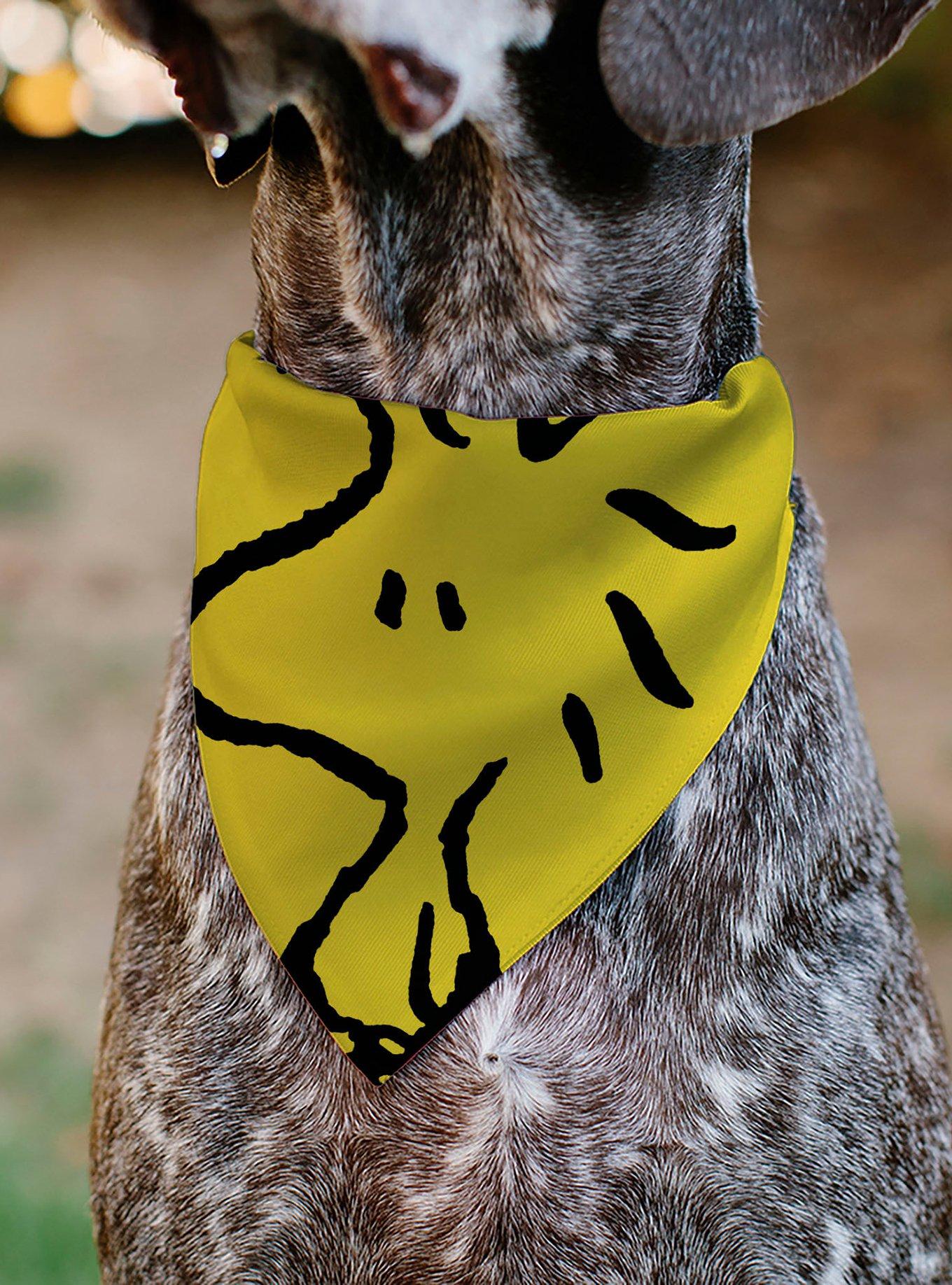 Peanuts Woodstock Pose Close Up Slip On Collar Pet Bandana - Bandana Only, , alternate
