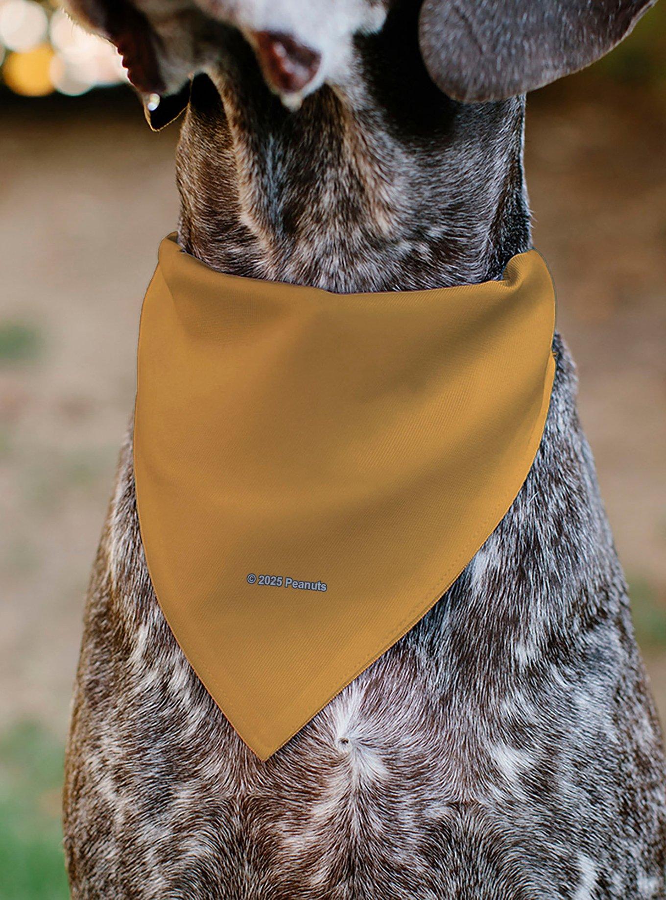 Peanuts Marcie Smiling Face Slip On Collar Pet Bandana - Bandana Only, , alternate