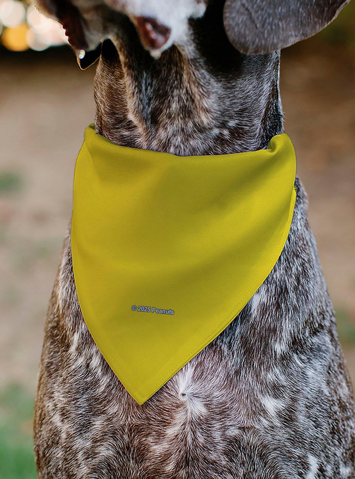 Peanuts Charlie Brown Smiling Face With Stripe Slip On Collar Pet Bandana - Bandana Only, , alternate