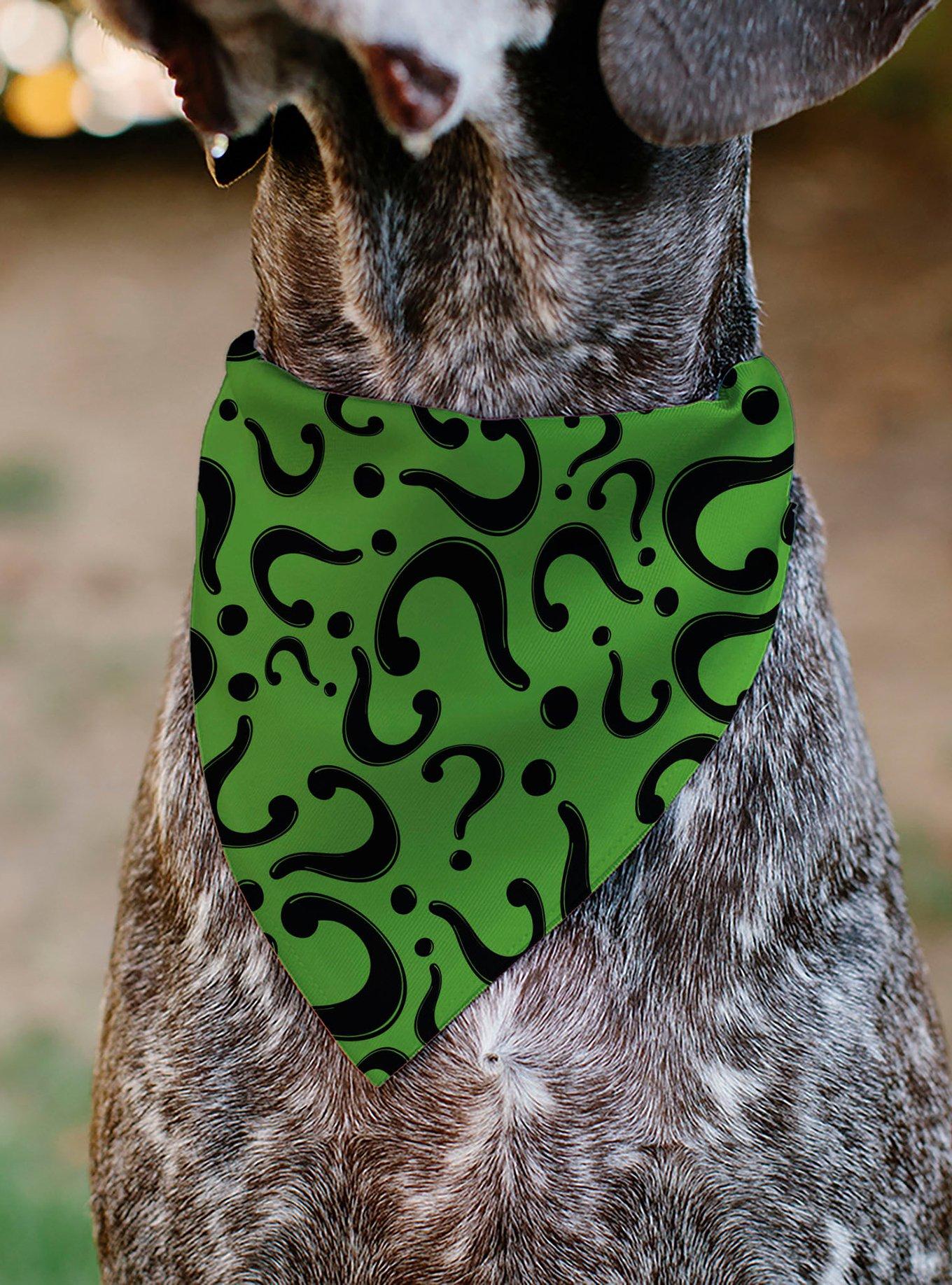 DC Comics The Riddler Question Mark Scattered Black Slip On Collar Pet Bandana - Bandana Only, , alternate
