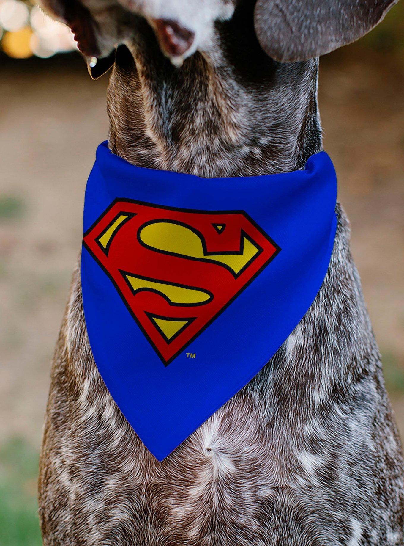 DC Comics Superman Shield Logo Slip On Collar Pet Bandana - Bandana Only, , alternate