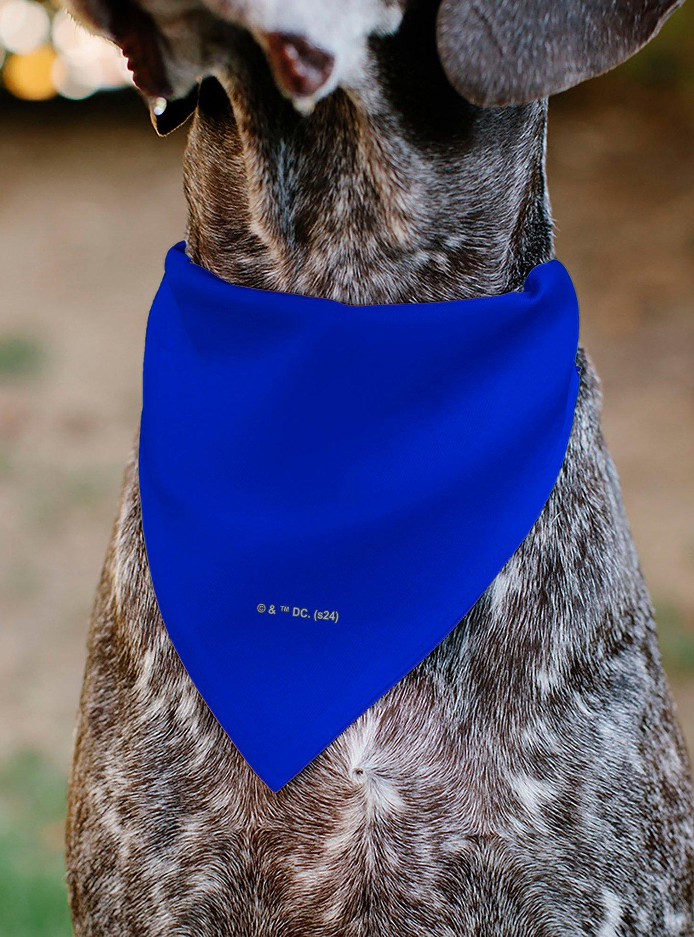 DC Comics Superman Shield Logo Slip On Collar Pet Bandana - Bandana Only, , alternate