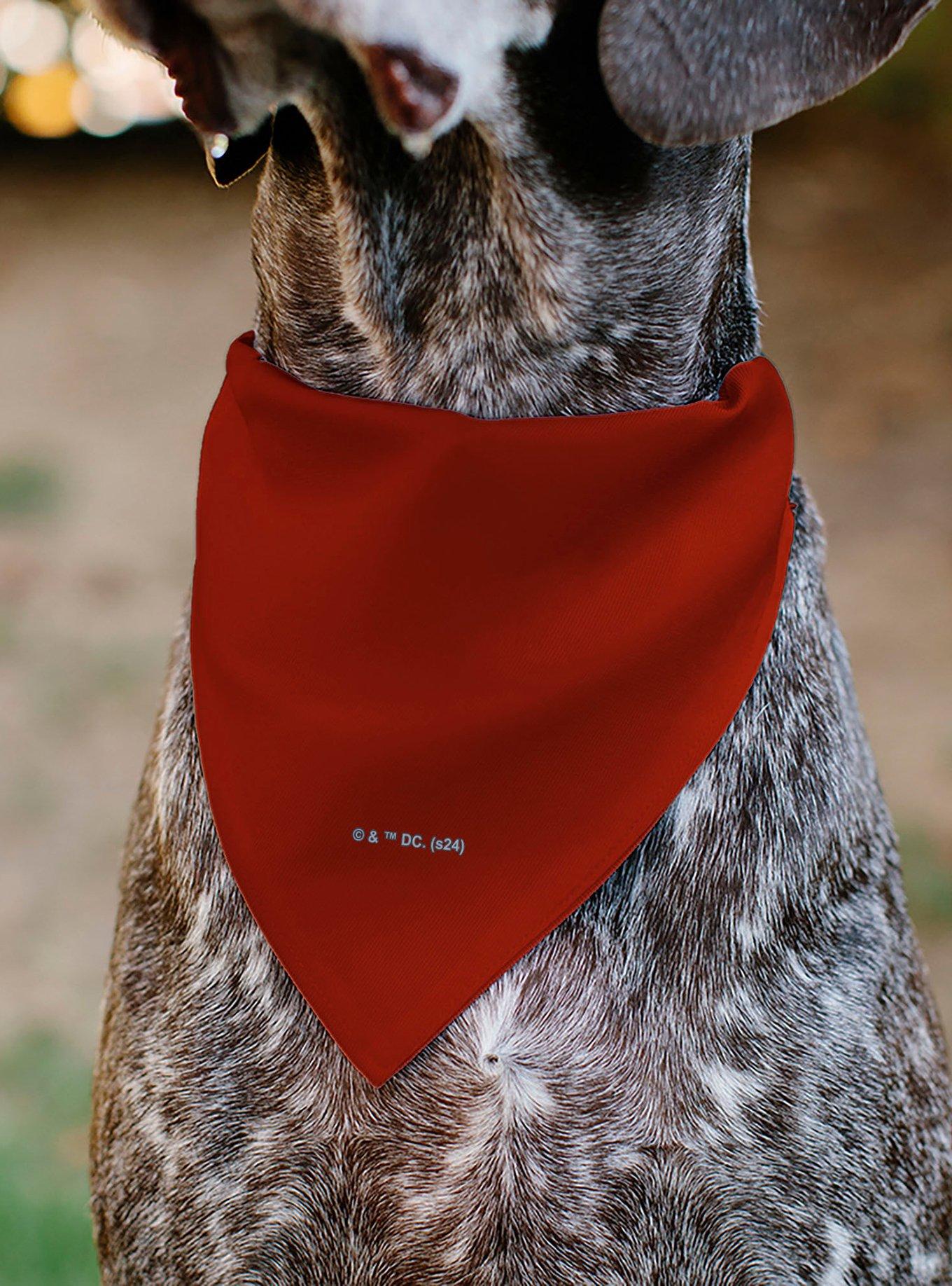 DC Comics Wonder Woman WW Logo Slip On Collar Pet Bandana - Bandana Only, , alternate
