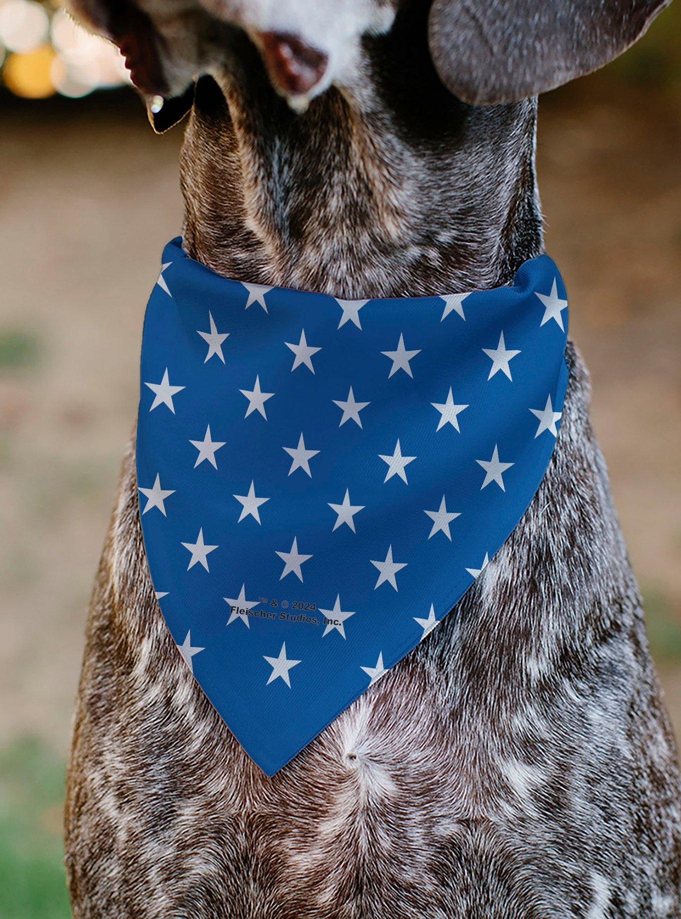 Betty Boop Americana Soldier Salute Pose and Stars Slip On Collar Pet Bandana - Bandana Only, , alternate