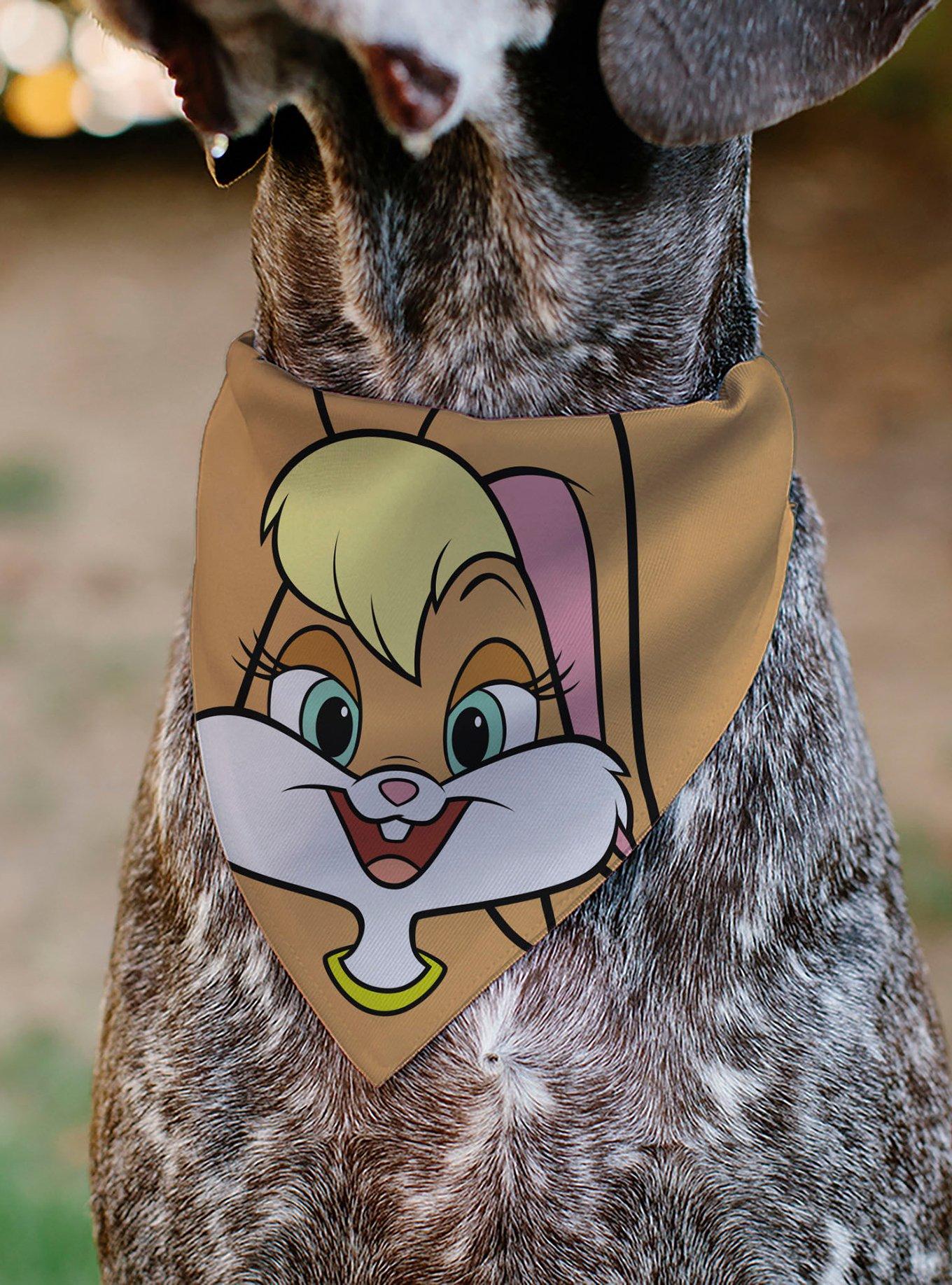 Looney Tunes Lola Bunny Face Close Up Slip On Collar Pet Bandana - Bandana Only, , alternate