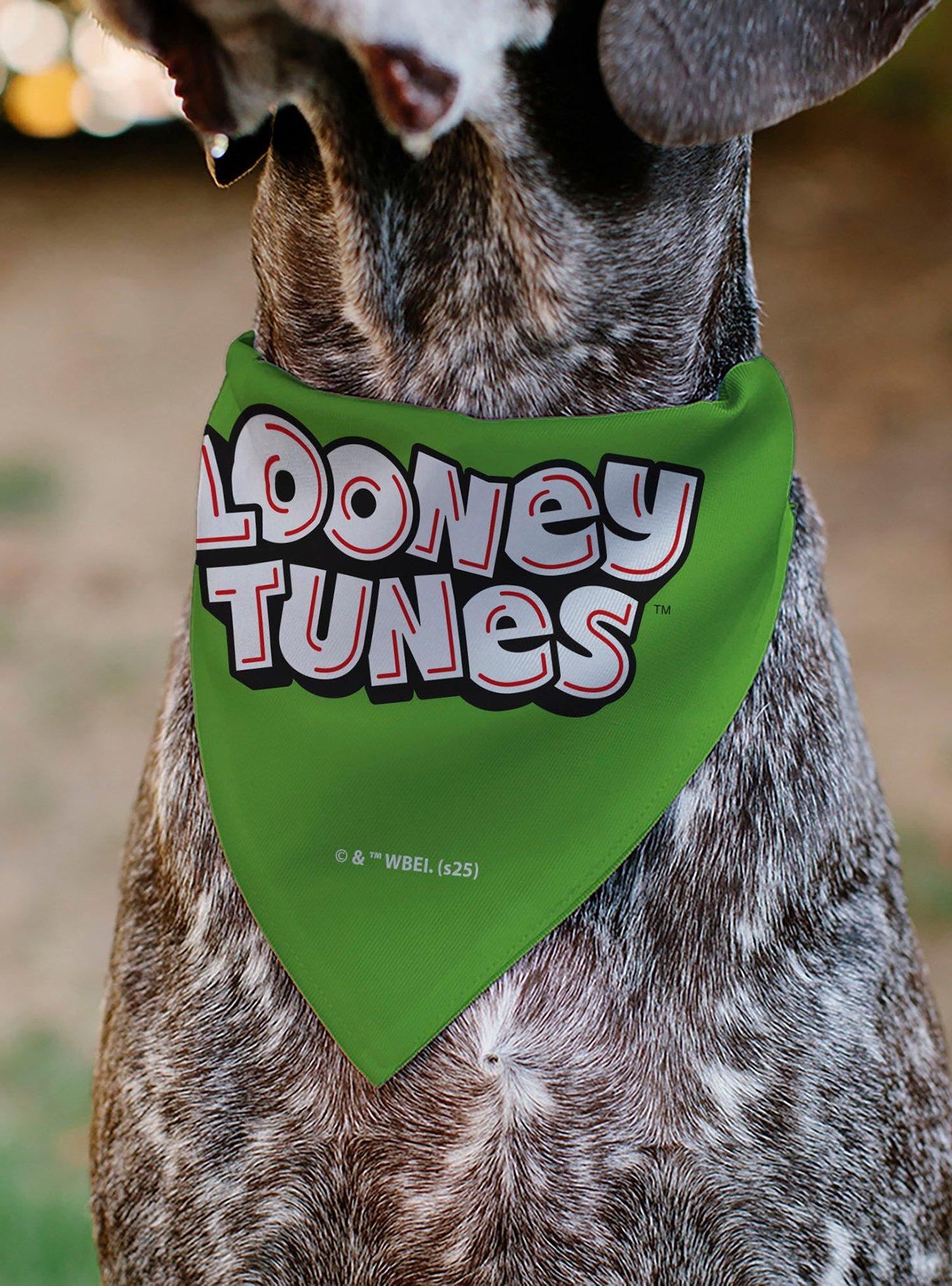 Looney Tunes Marvin The Martian Face Close Up Slip On Collar Pet Bandana - Bandana Only, , alternate