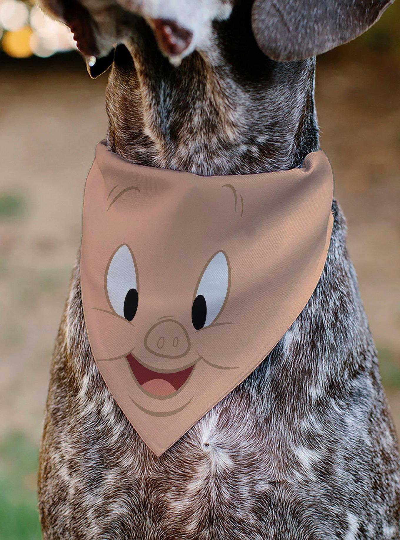 Looney Tunes Porky Pig Face Close Up Peach Slip On Collar Pet Bandana - Bandana Only, , alternate