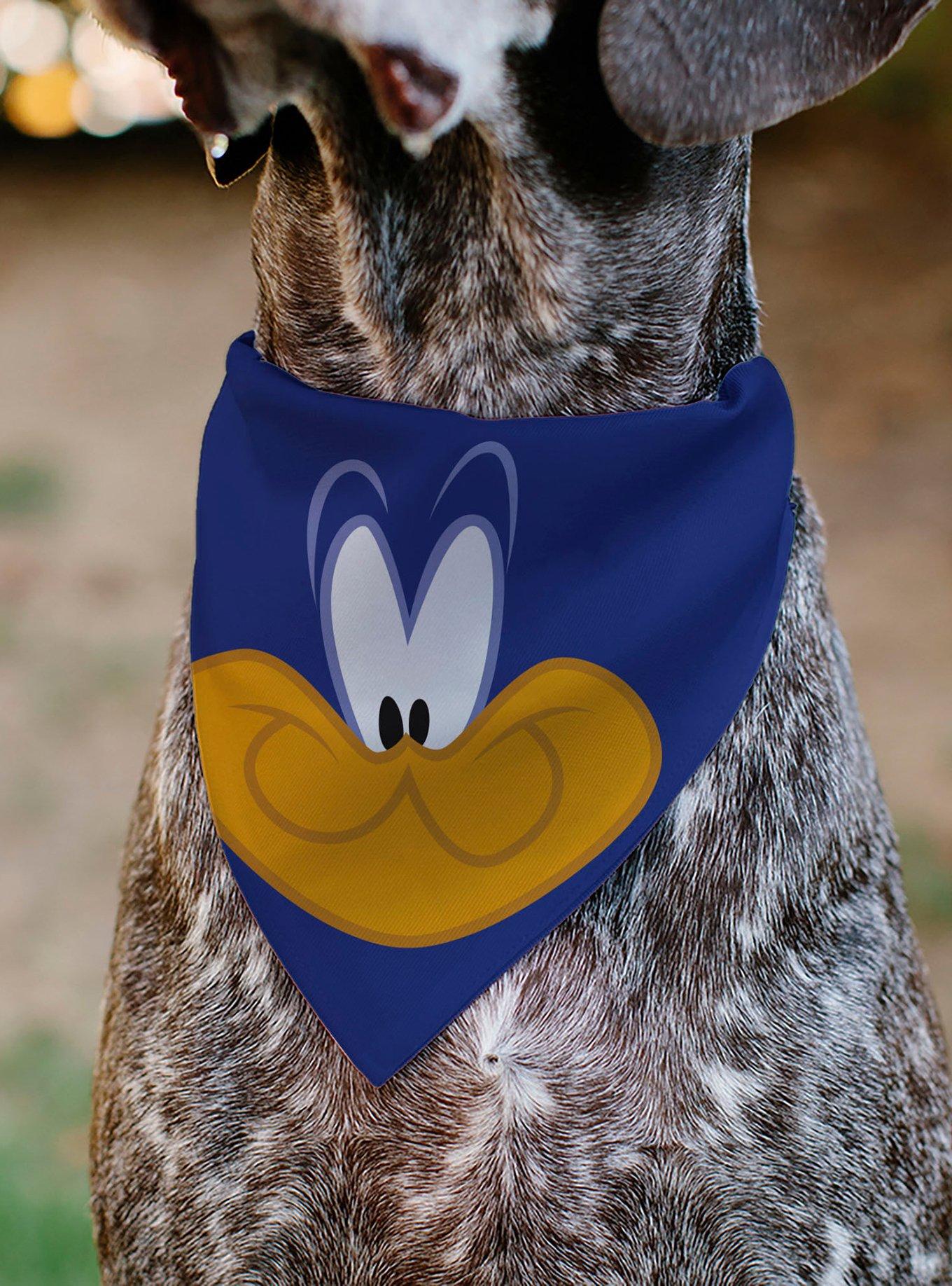 Looney Tunes Road Runner Face Close Up Slip On Collar Pet Bandana - Bandana Only, , alternate