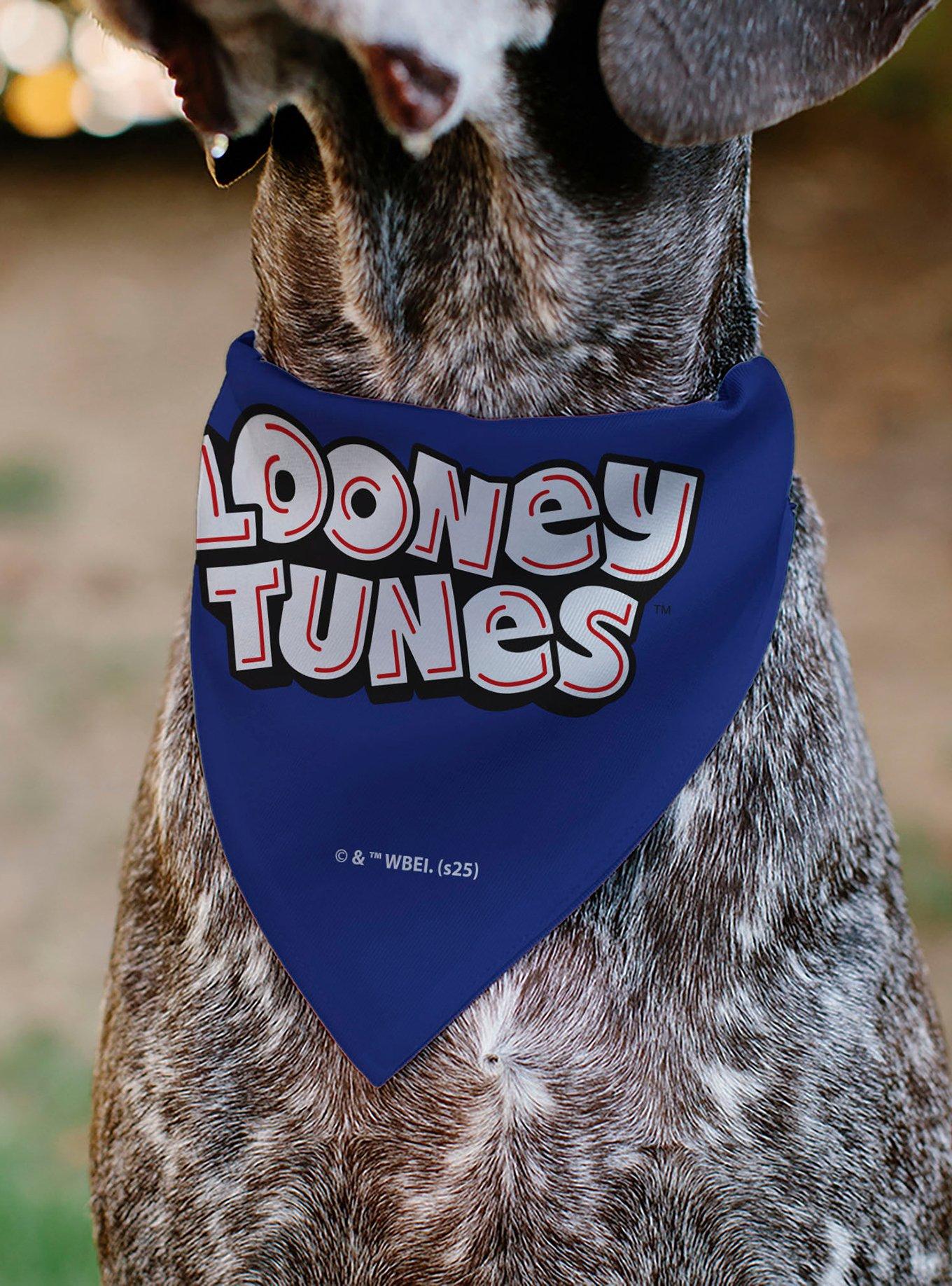Looney Tunes Road Runner Face Close Up Slip On Collar Pet Bandana - Bandana Only, , alternate