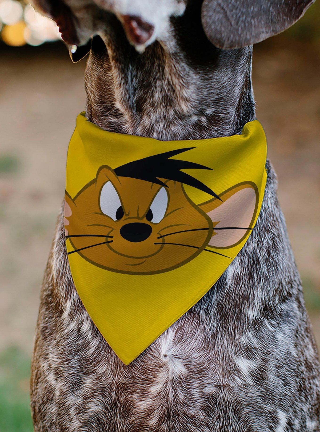 Looney Tunes Speedy Gonzales Face Close Up Slip On Collar Pet Bandana - Bandana Only