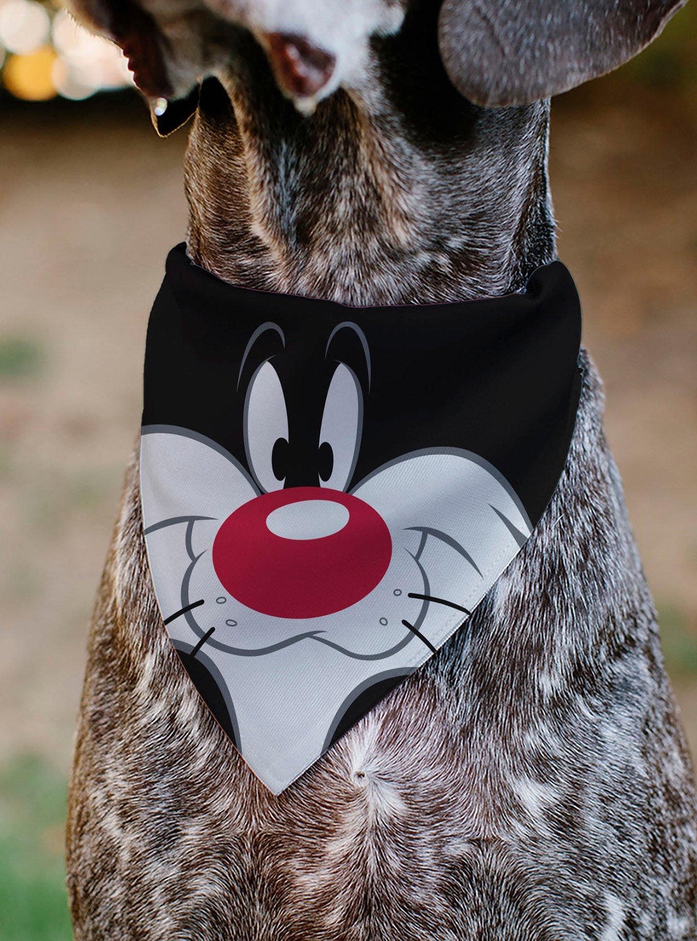 Looney Tunes Sylvester The Cat Face Close Up Slip On Collar Pet Bandana - Bandana Only, , alternate