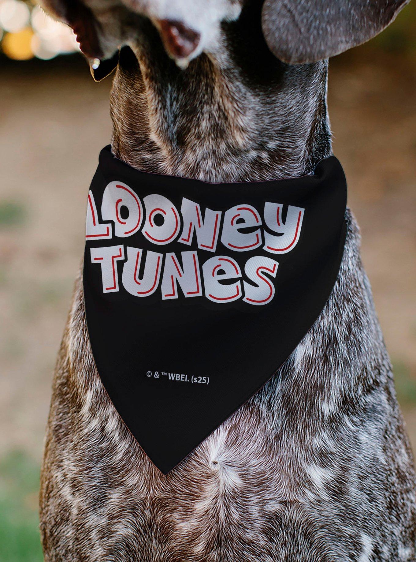 Looney Tunes Sylvester The Cat Face Close Up Slip On Collar Pet Bandana - Bandana Only, , alternate