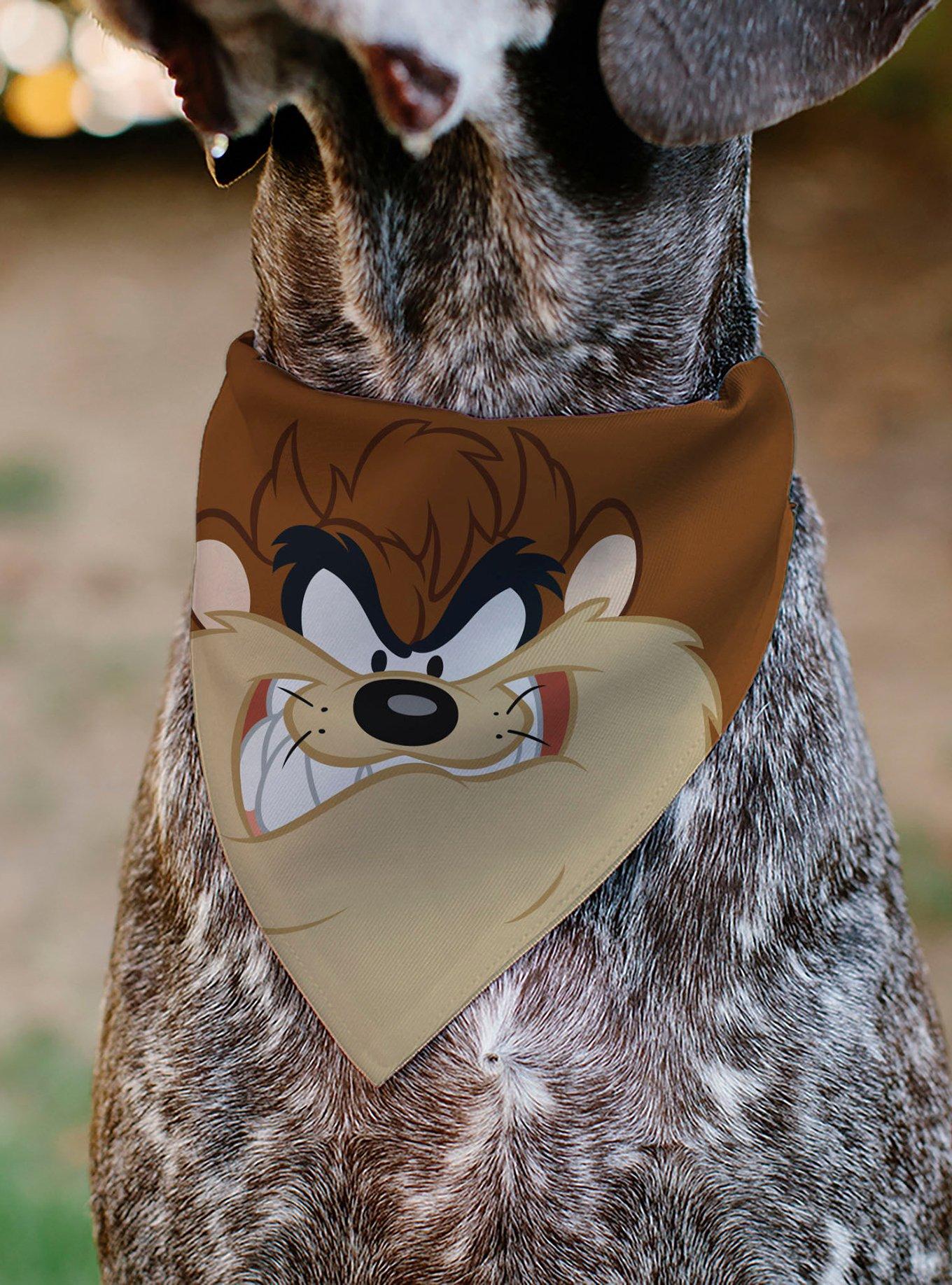 Looney Tunes Taz Tasmanian Devil Face Close Up Slip On Collar Pet Bandana - Bandana Only, , alternate