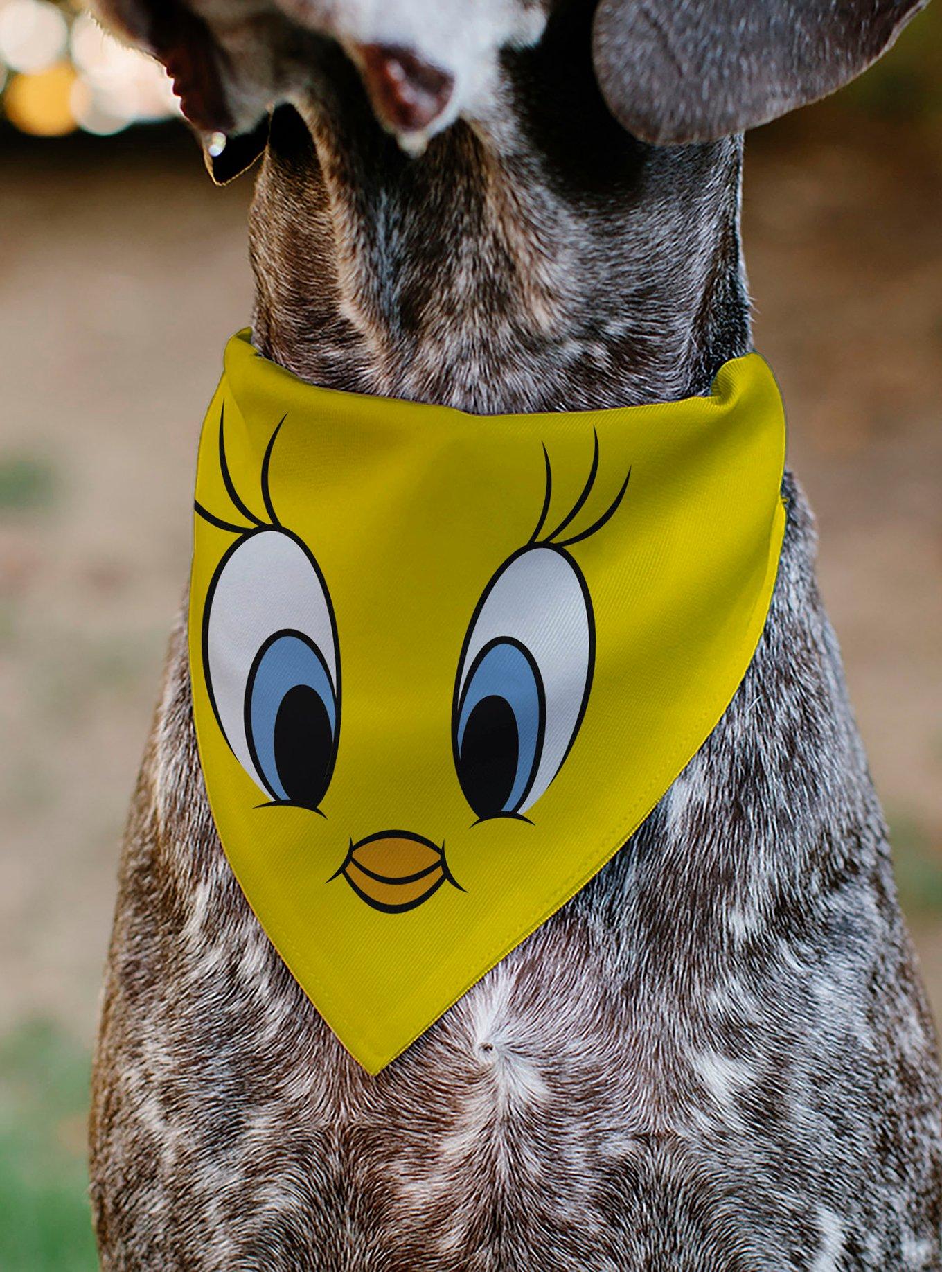 Looney Tunes Tweety Bird Face Close Up Slip On Collar Pet Bandana - Bandana Only, , alternate
