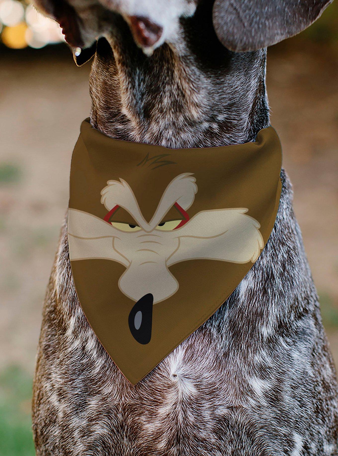 Looney Tunes Wile E Coyote Face Close Up Slip On Collar Pet Bandana - Bandana Only, , alternate