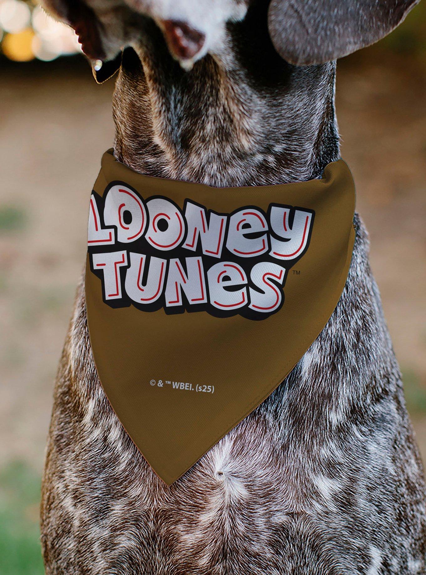 Looney Tunes Wile E Coyote Face Close Up Slip On Collar Pet Bandana - Bandana Only, , alternate