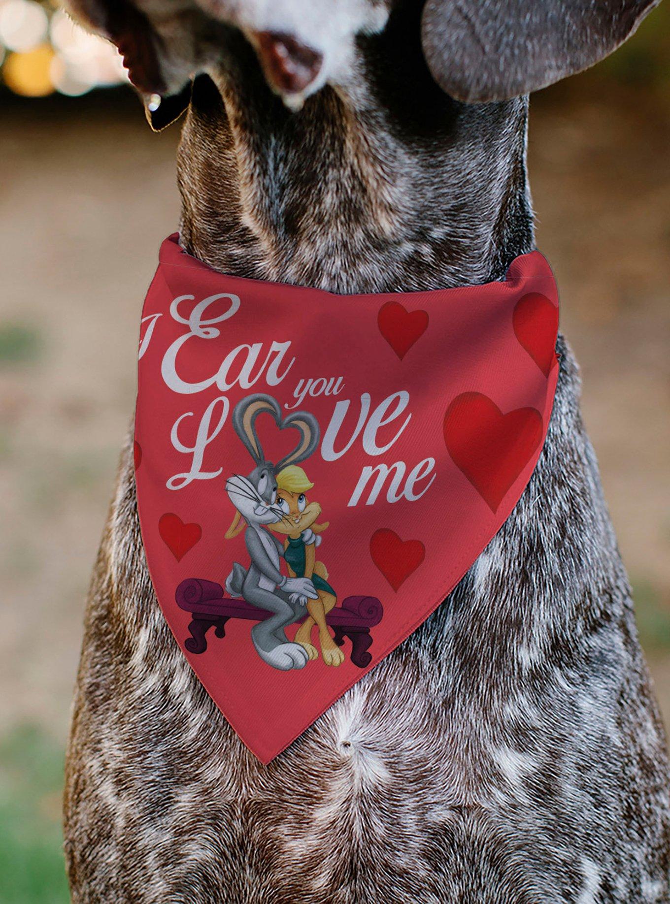Looney Tunes Bugs & Lola I Ear You Love Me Hearts Slip On Collar Pet Bandana - Bandana Only, , alternate