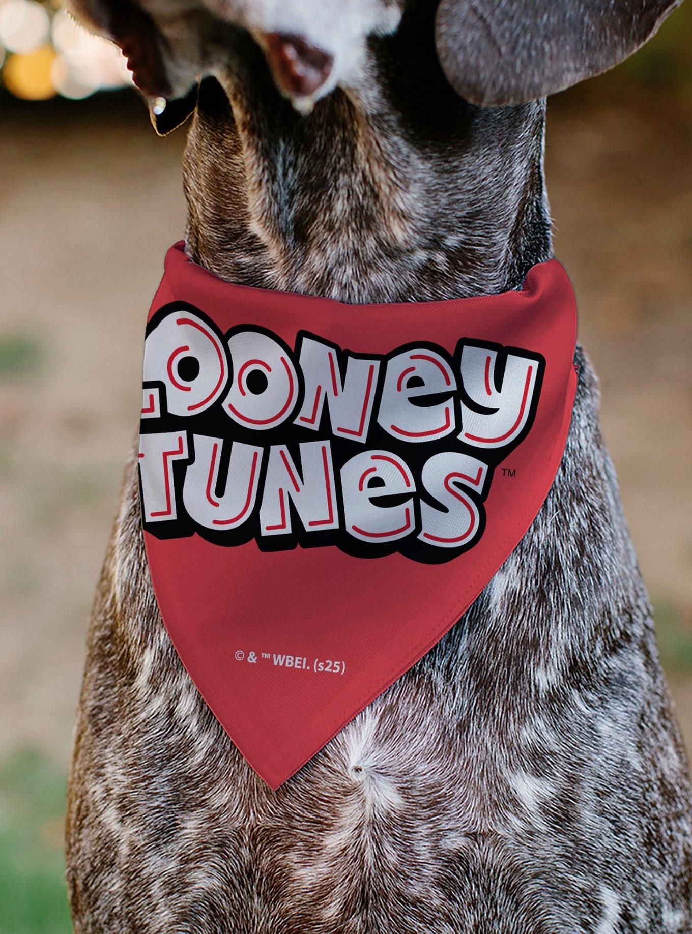 Looney Tunes Bugs & Lola I Ear You Love Me Hearts Slip On Collar Pet Bandana - Bandana Only, , alternate