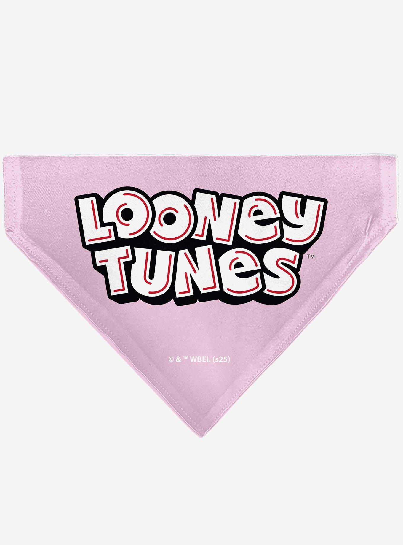 Looney Tunes Daffy Duck You're A Gem Heart Title Slip On Collar Pet Bandana - Bandana Only, , hi-res