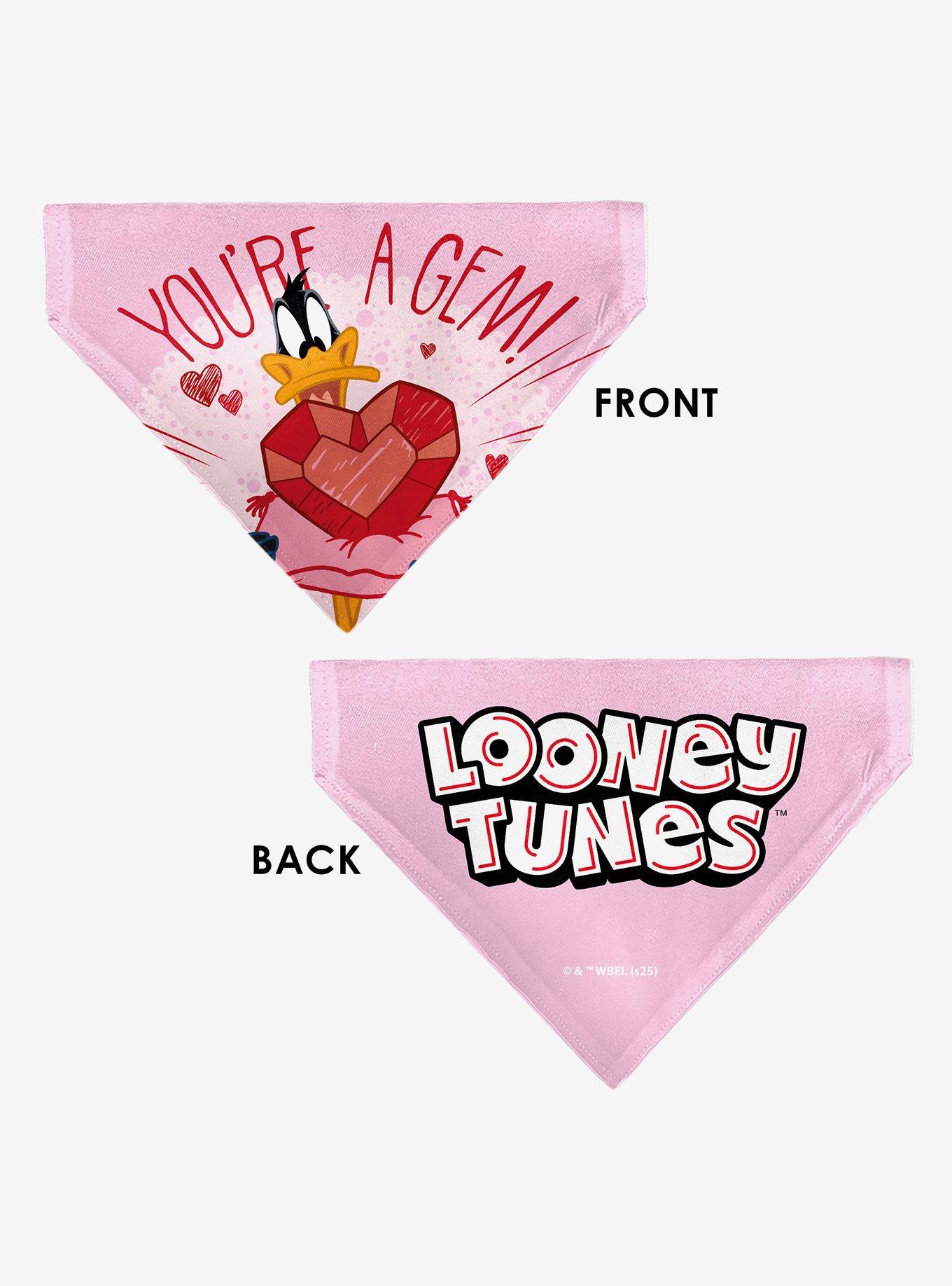 Looney Tunes Daffy Duck You're A Gem Heart Title Slip On Collar Pet Bandana - Bandana Only, , alternate