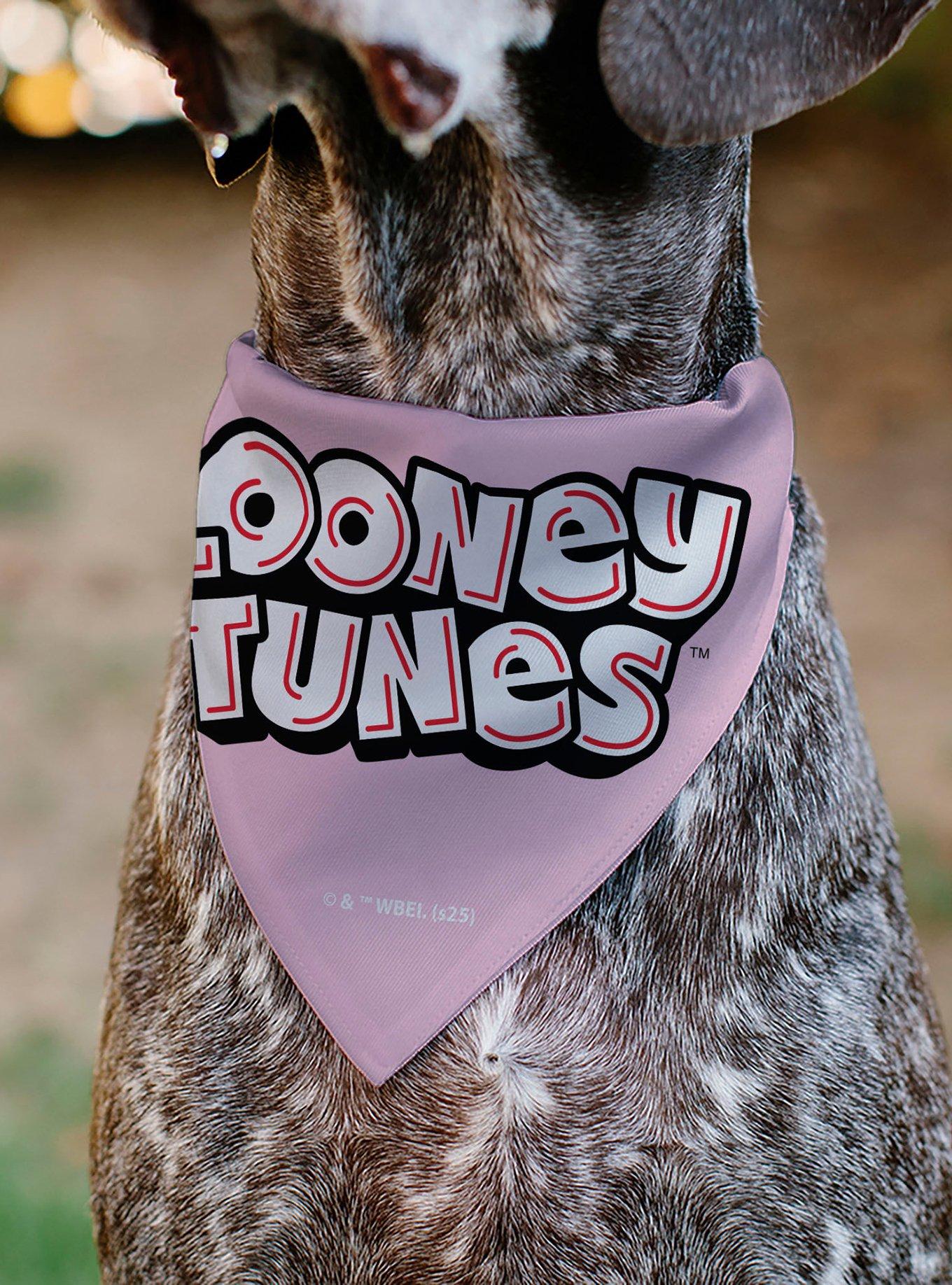 Looney Tunes Daffy Duck You're A Gem Heart Title Slip On Collar Pet Bandana - Bandana Only, , alternate